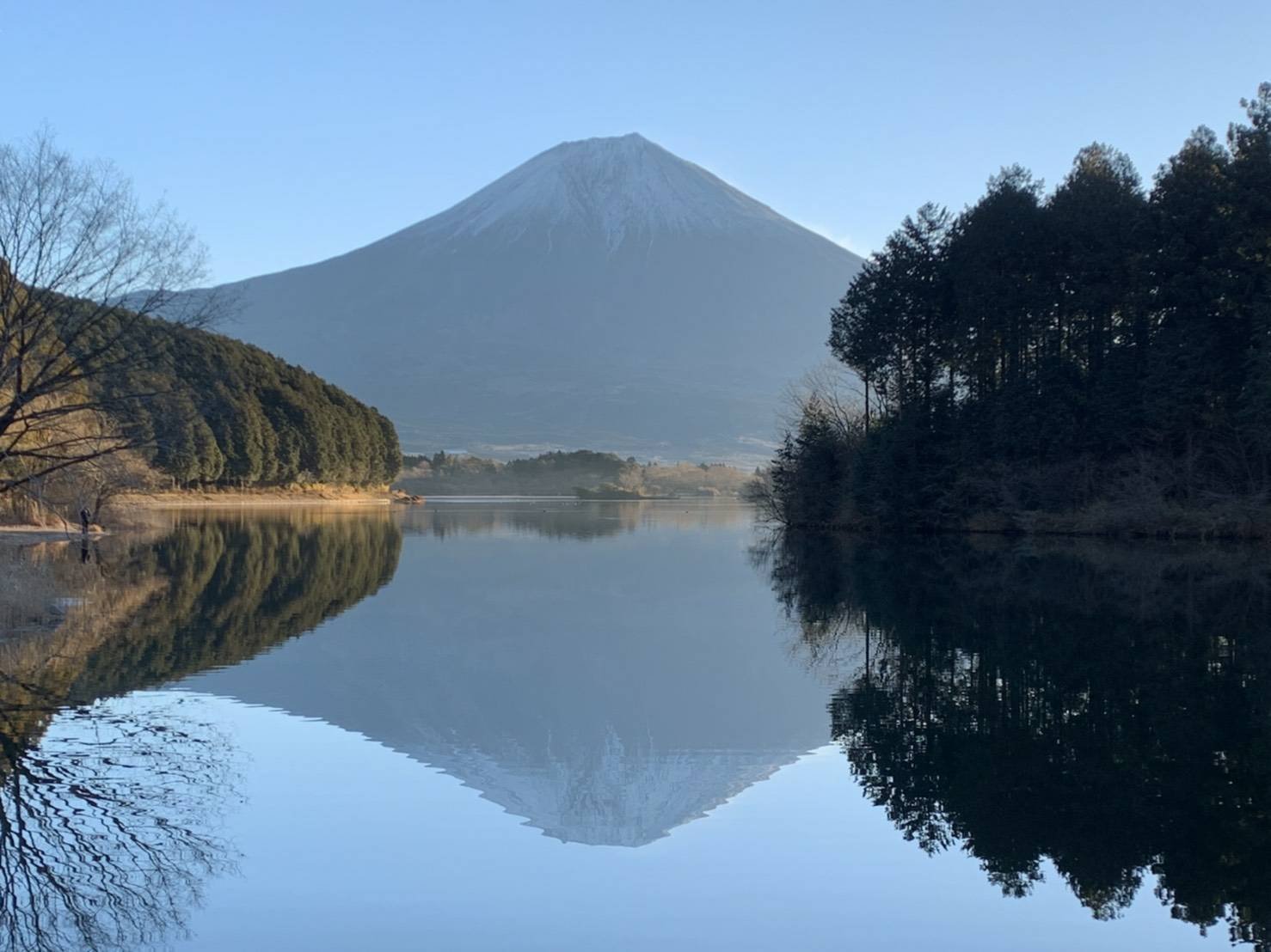 元旦の富士山 Shin Morishita Note 元旦の富士山 Shin Morishita Note