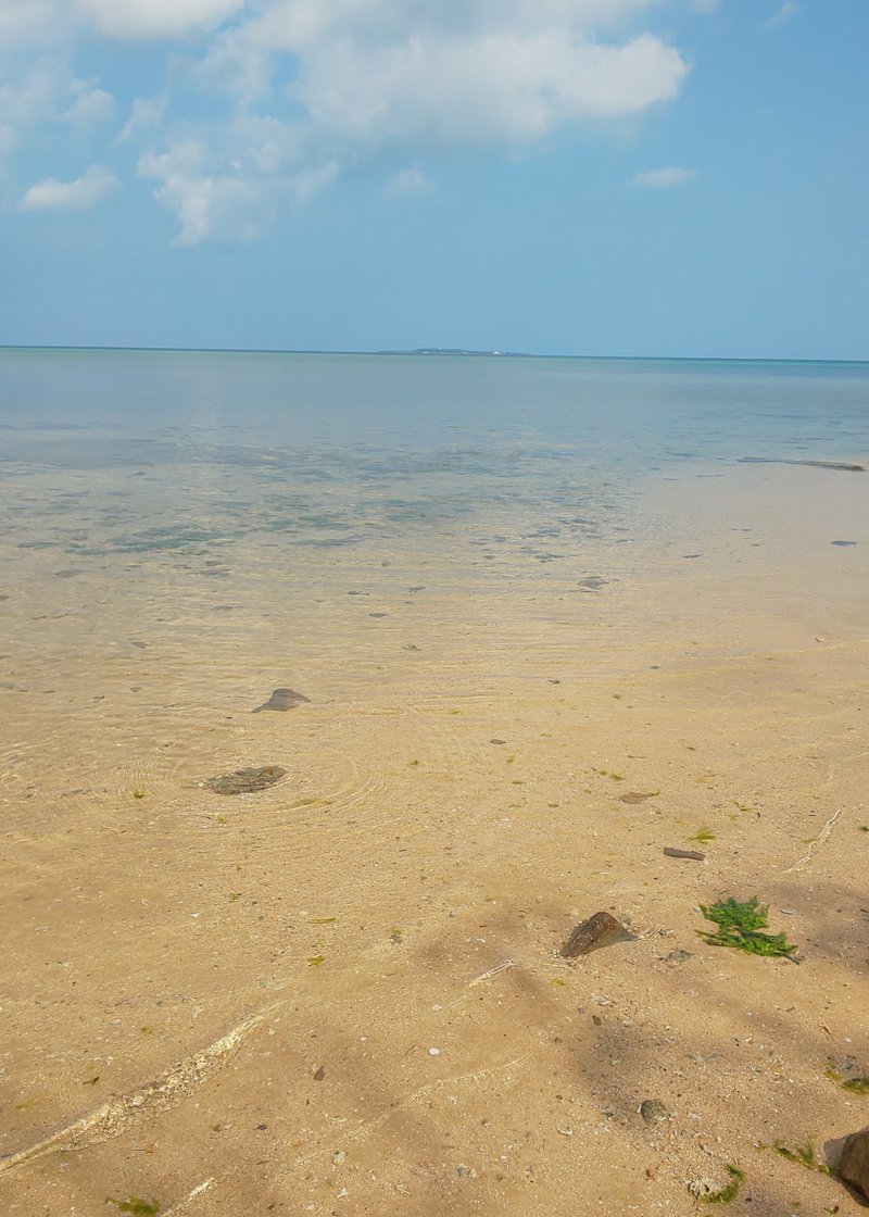 遠浅の海