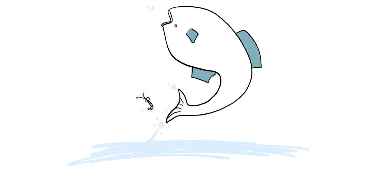 魚くん跳ねる りべしん Note