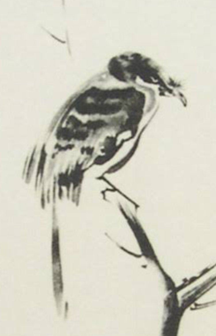 宮本武蔵の枯木鳴鵙図の百舌鳥です。