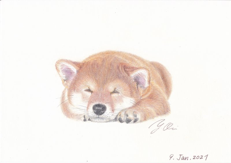 柴犬イラスト の新着タグ記事一覧 Note つくる つながる とどける