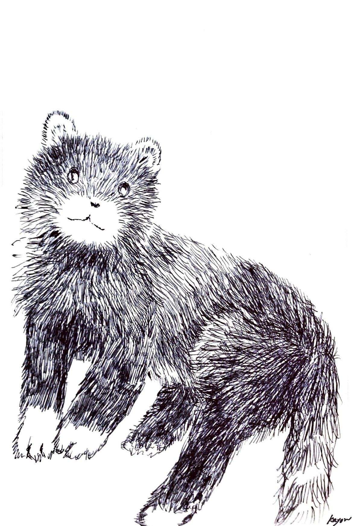 もしゃもしゃ動物の絵15 ボールペン画 かよん Note もしゃもしゃ動物の絵15 ボールペン画 かよん Note
