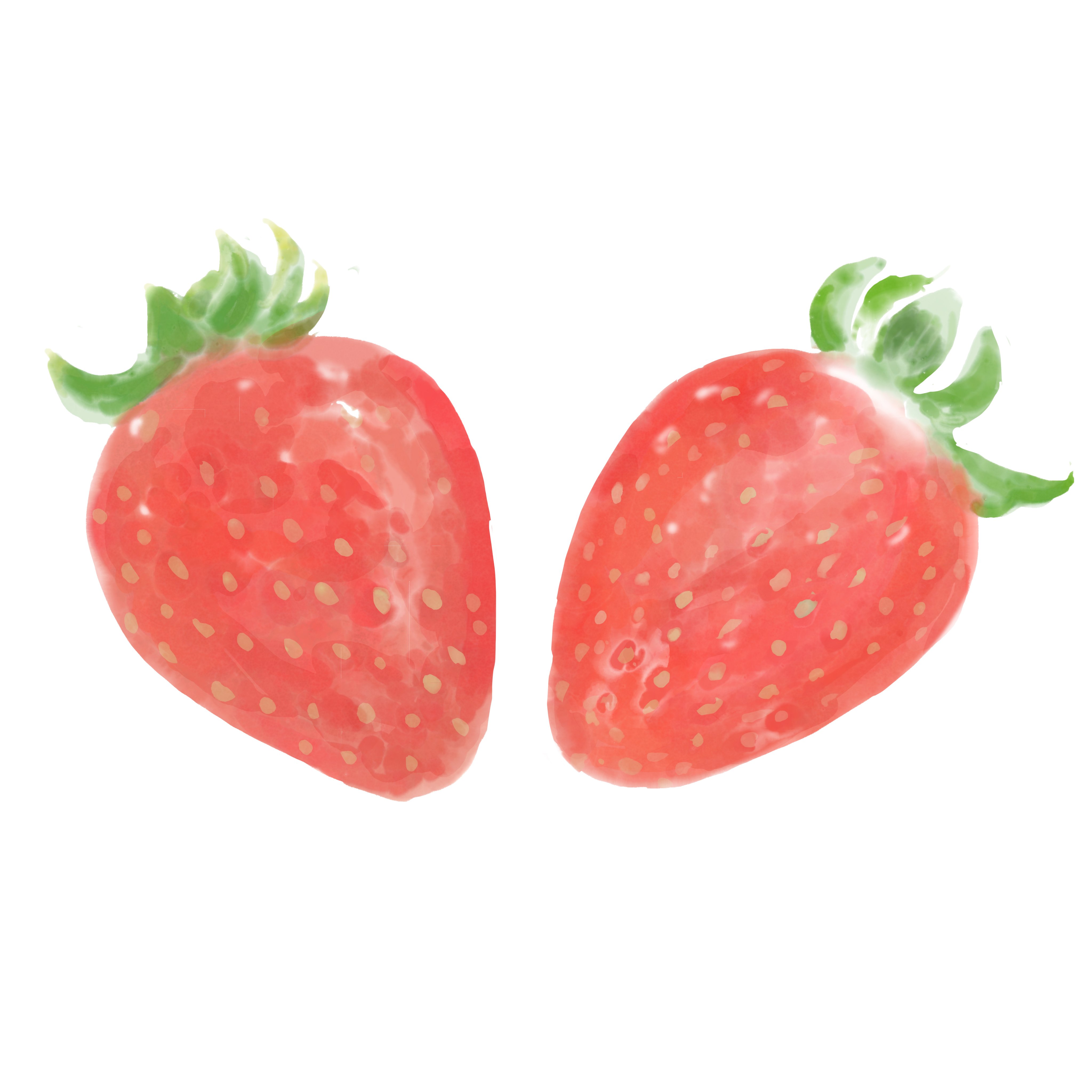Adobe Frescoで苺を描く 水彩ライブブラシ Rmia Note Adobe Frescoで苺を描く 水彩ライブブラシ Rmia Note