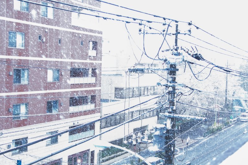 なんだかんだ毎年雪が降っている東京。今年は降りそうにない。雪国の故郷に想いを馳せる。帰る場所ではなく、行く場所に変わっていることに気がつき、すっかり孤独な気持ちになってしまう。