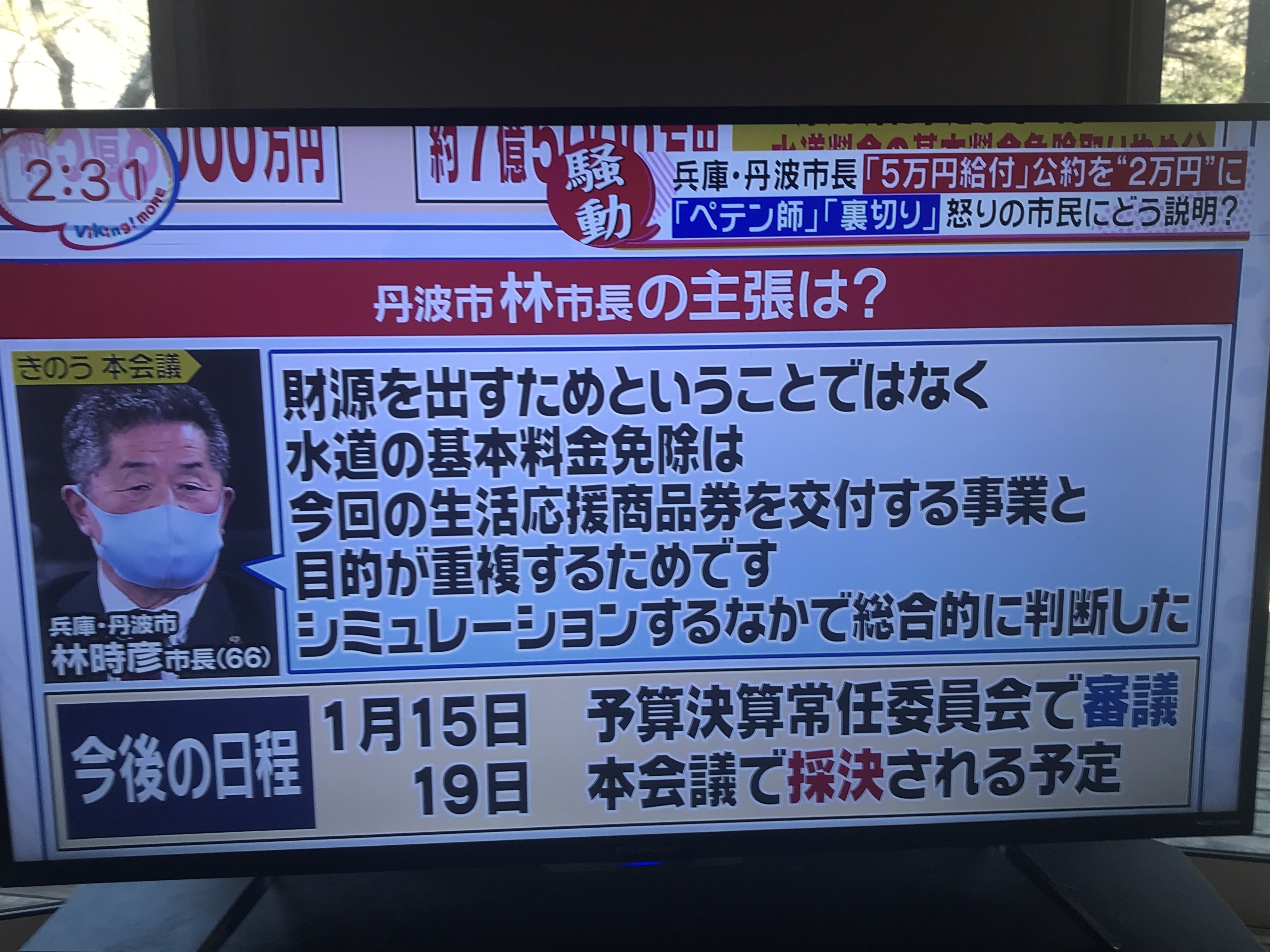 選挙公約詐欺で税金泥棒 みんなの減税 Note 選挙公約詐欺で税金泥棒 みんなの減税 Note