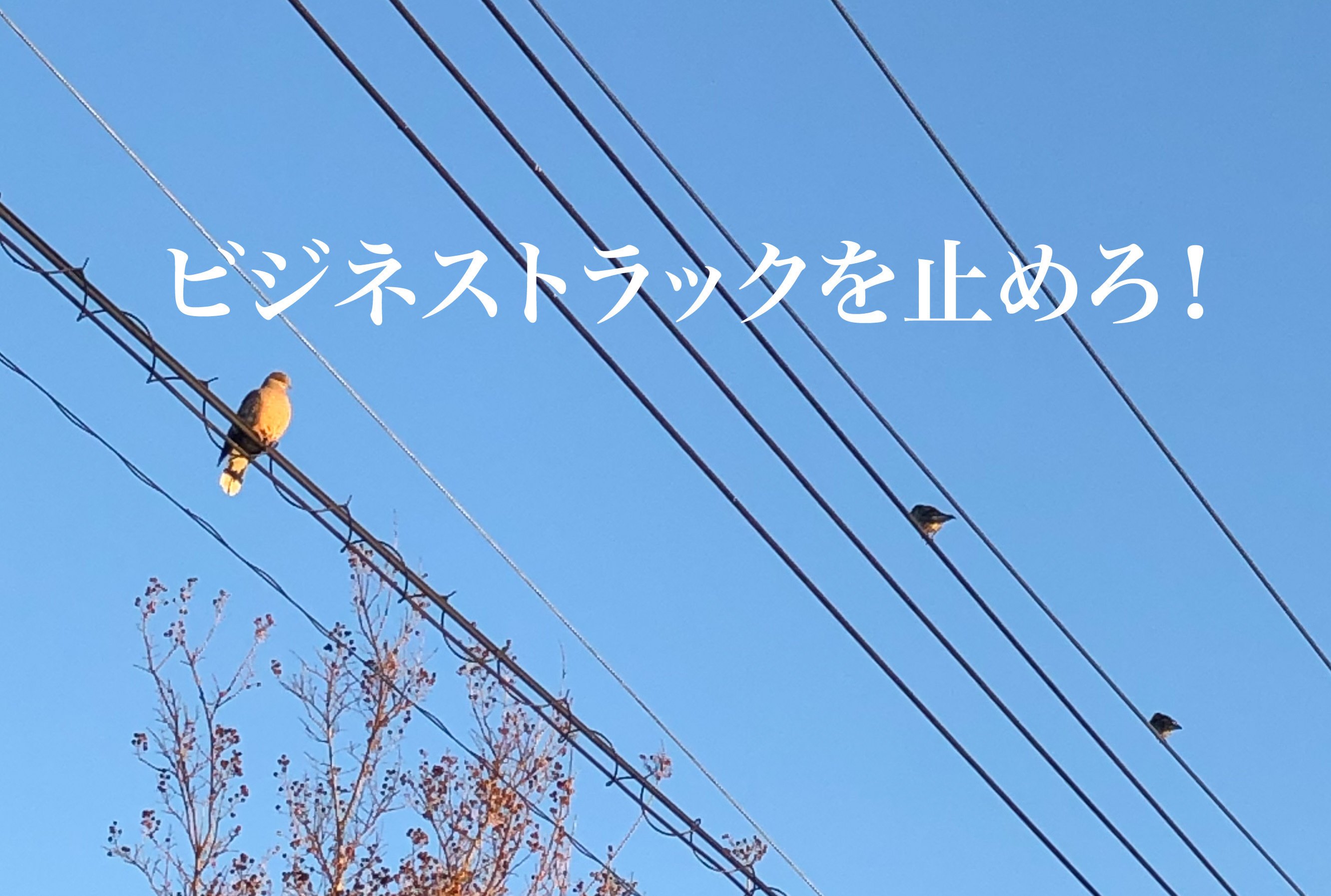 ビジネス ひとまず