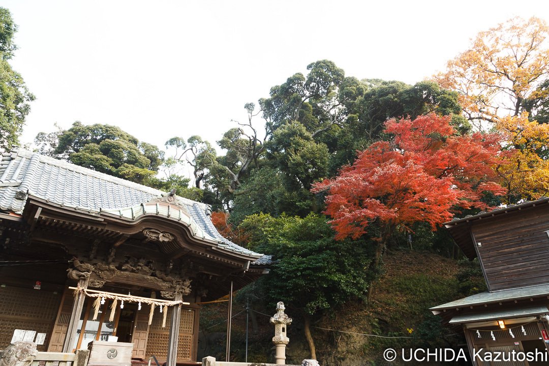 お宮参り 七五三 春日神社 神奈川県横浜市 内田和稔 Note