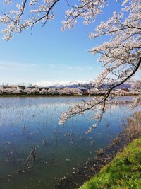 Ribbon In The Sky ひら Note