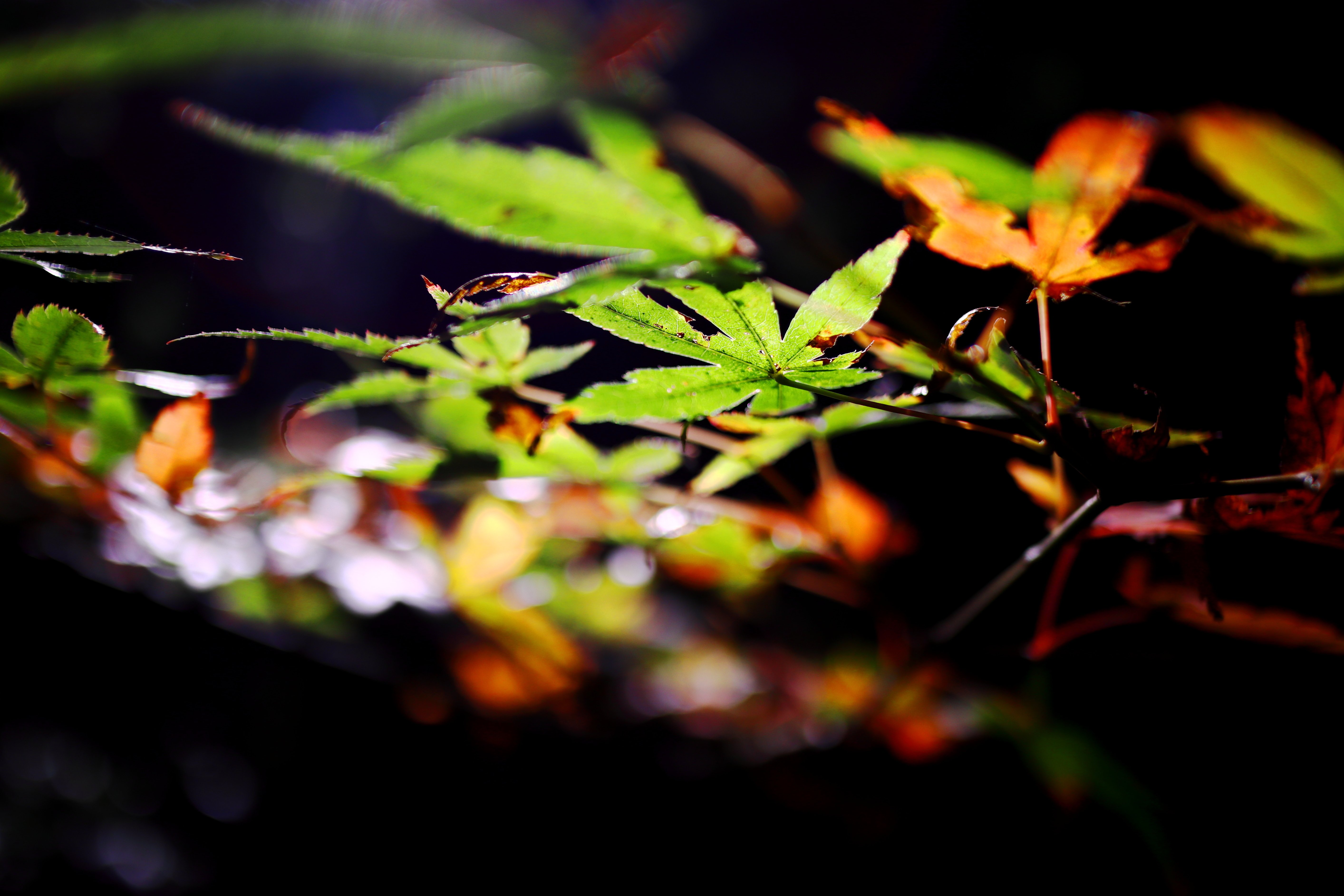 タイムマシンに乗って 青木詠一 Note