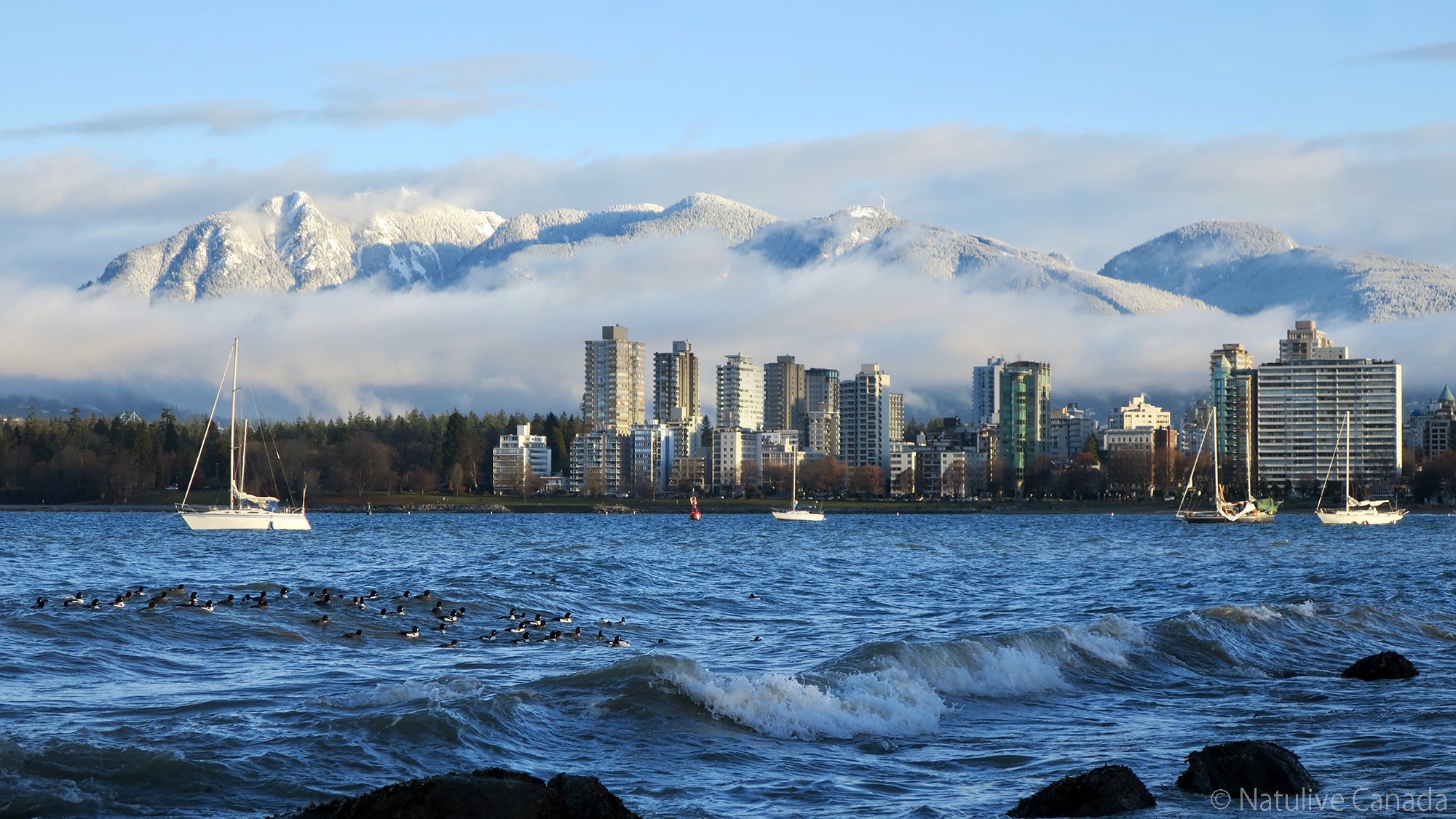 真冬のキツラノビーチ ナチュリブカナダ Note