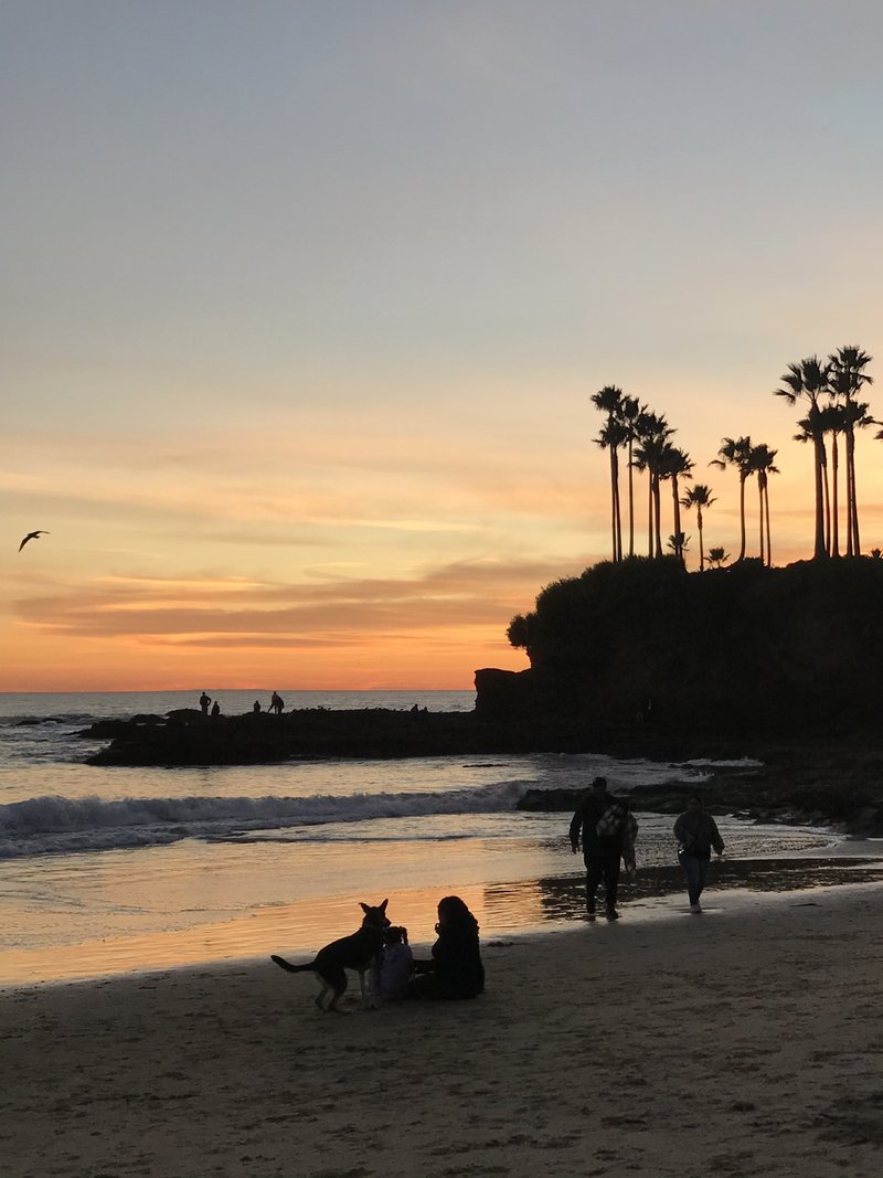 アメリカのきれいな写真 主にカリフォルニア アーバイン哲彦 Tetsuhiko Iwaya Note