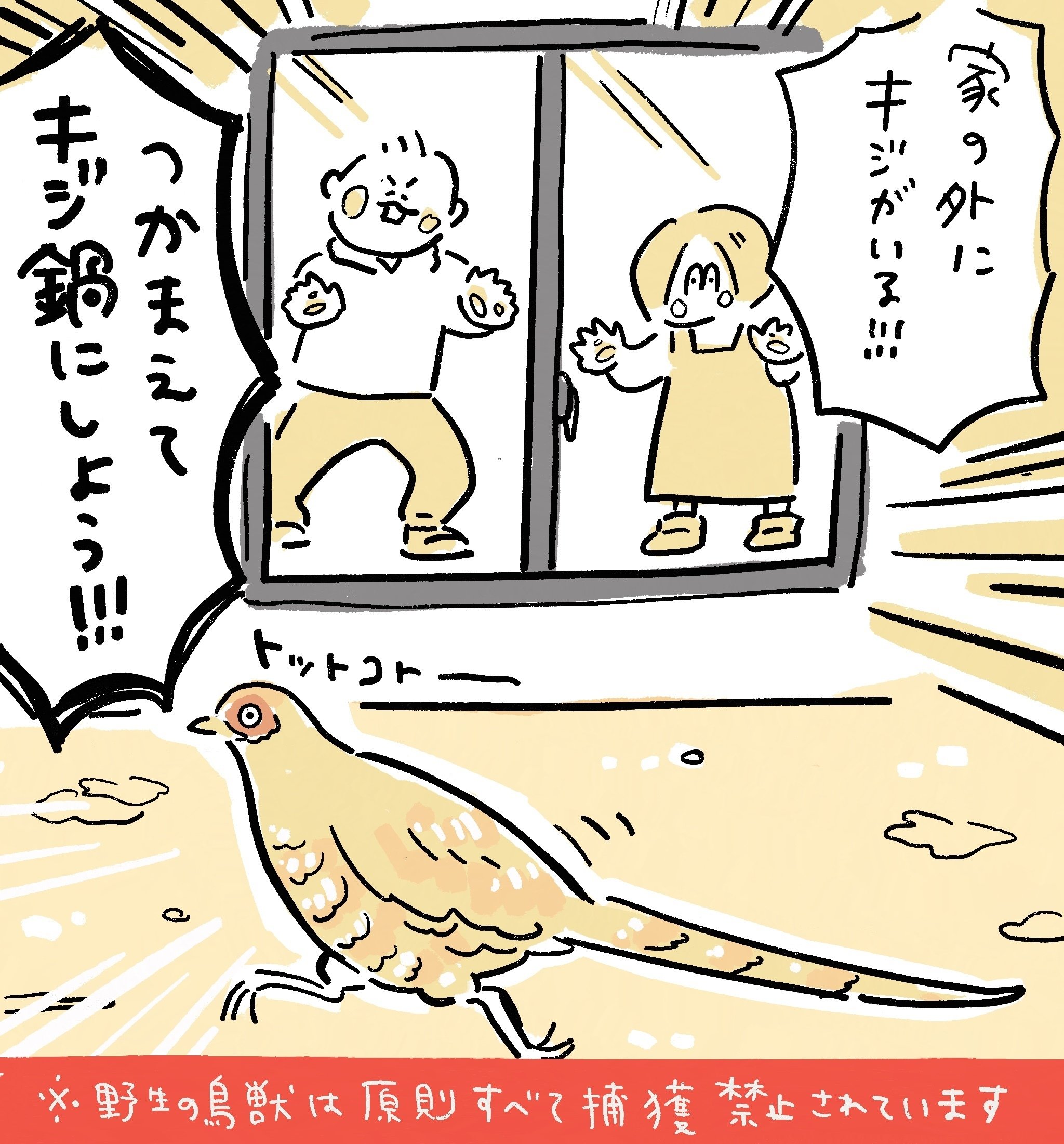 今日のハイライト まくあけ Note