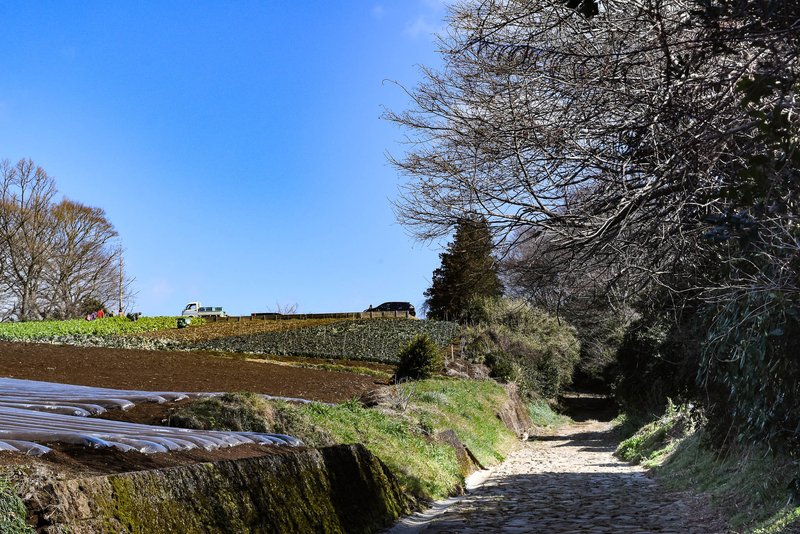 旧東海道の石畳は箱根が有名ですが，三島にある丘陵を抜ける区間はローマのそれに似た雰囲気があります