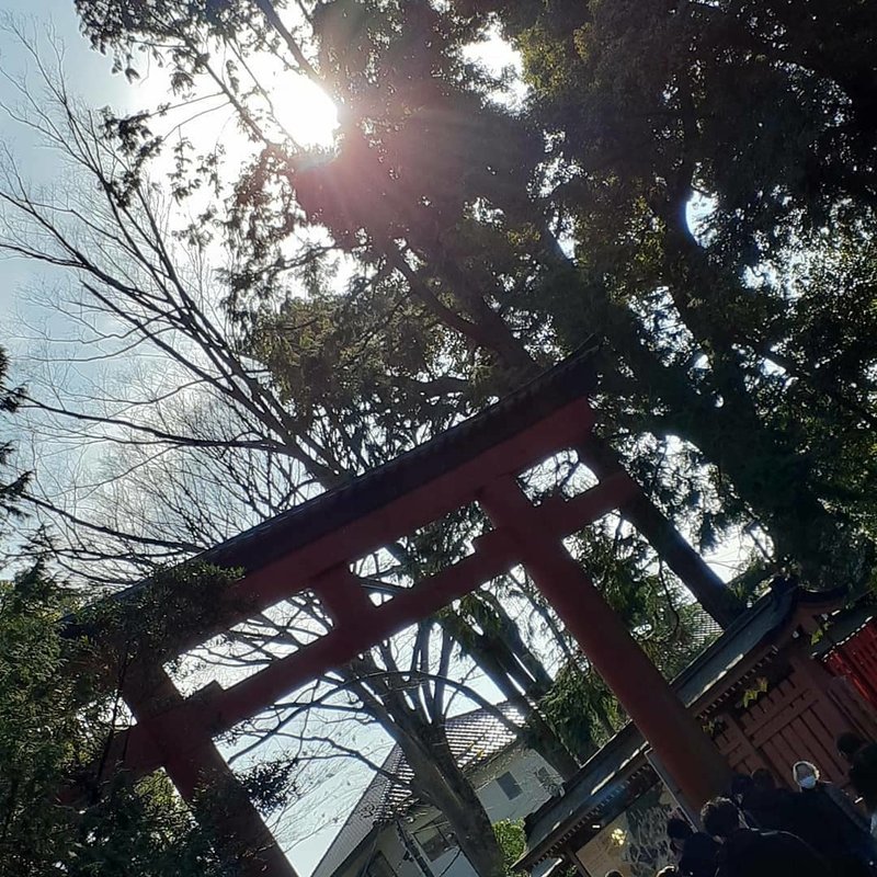 ランチ☀️🍴タイム氷川神社からから🌹