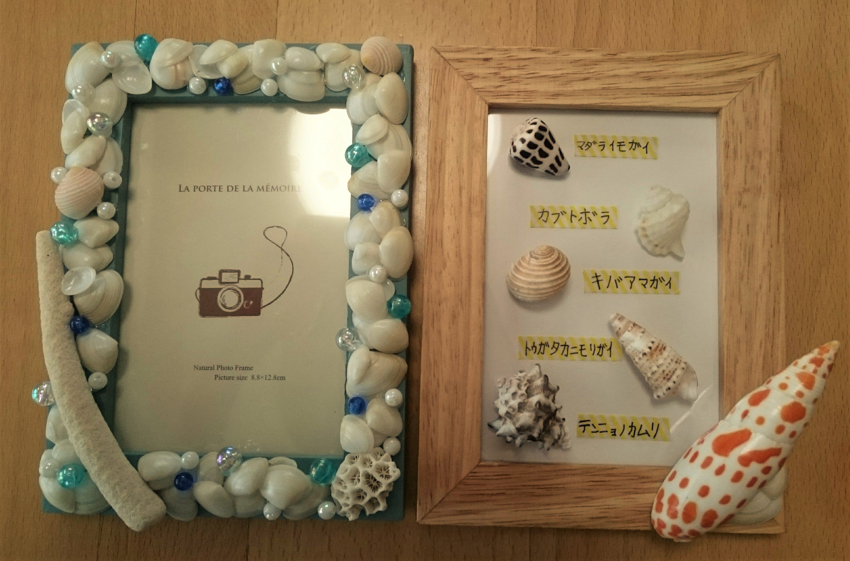 未使用✨カタログ掲載品 フォクシー ドレス ミスエディンバラ ロング  