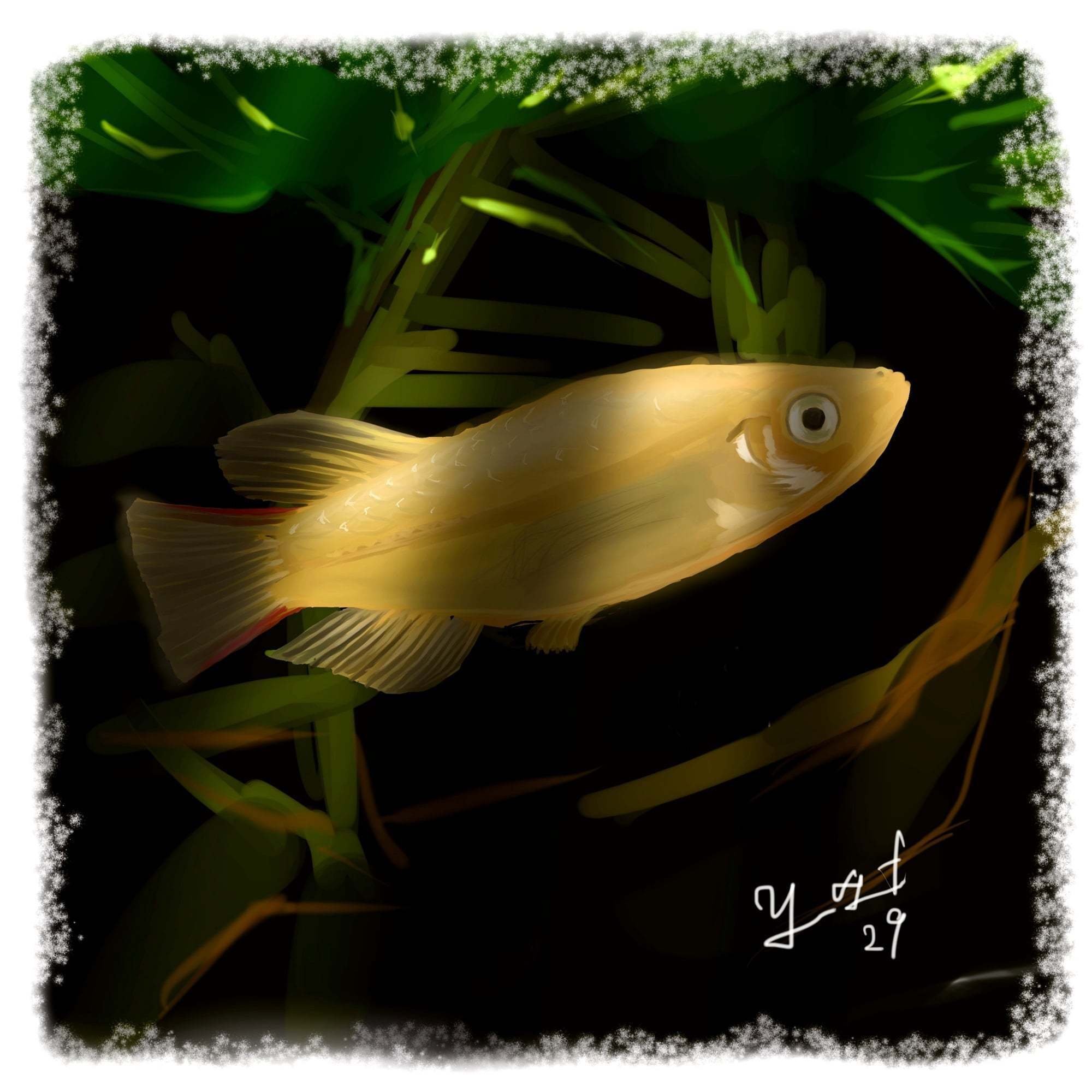 光と影 For メダカ 豊嶋 祐三 Note