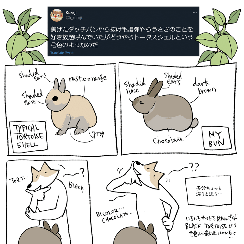 印刷可能 かっこいい カッコイイ うさぎ イラスト クールな画像をダウンロード