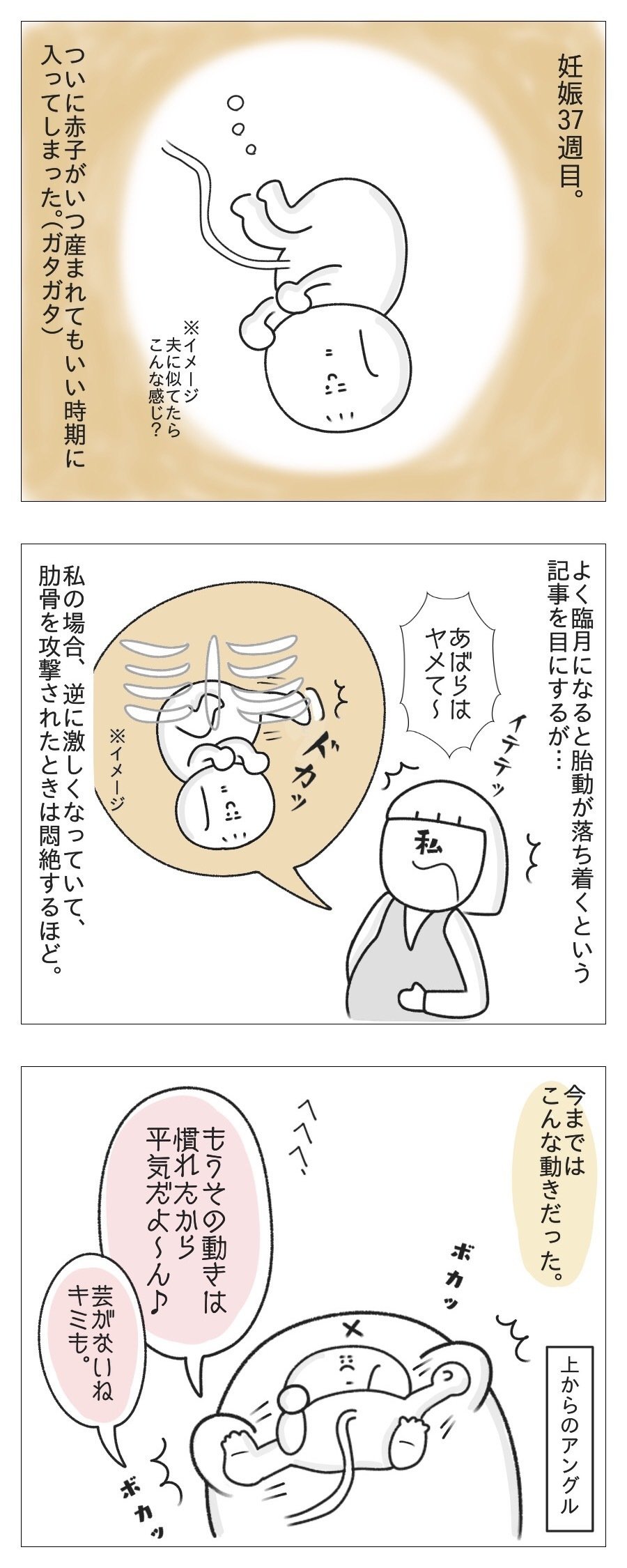 臨月 妊娠37週レポ たち Note