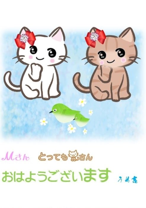 メジロちゃん来てるニャ 大阪のうめ吉 Note メジロちゃん来てるニャ 大阪のうめ吉 Note