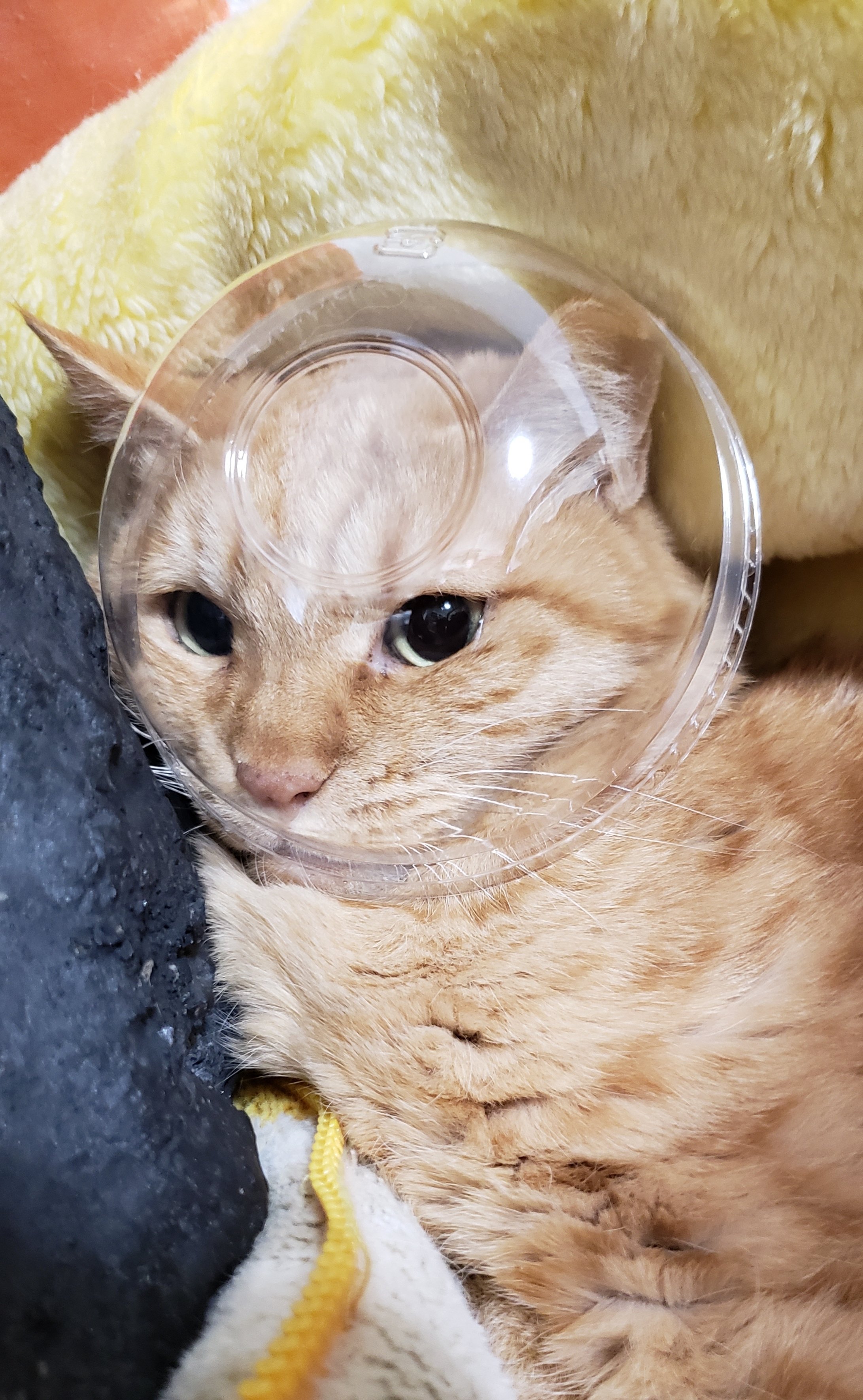 宇宙飛行士 浜田ちか Note