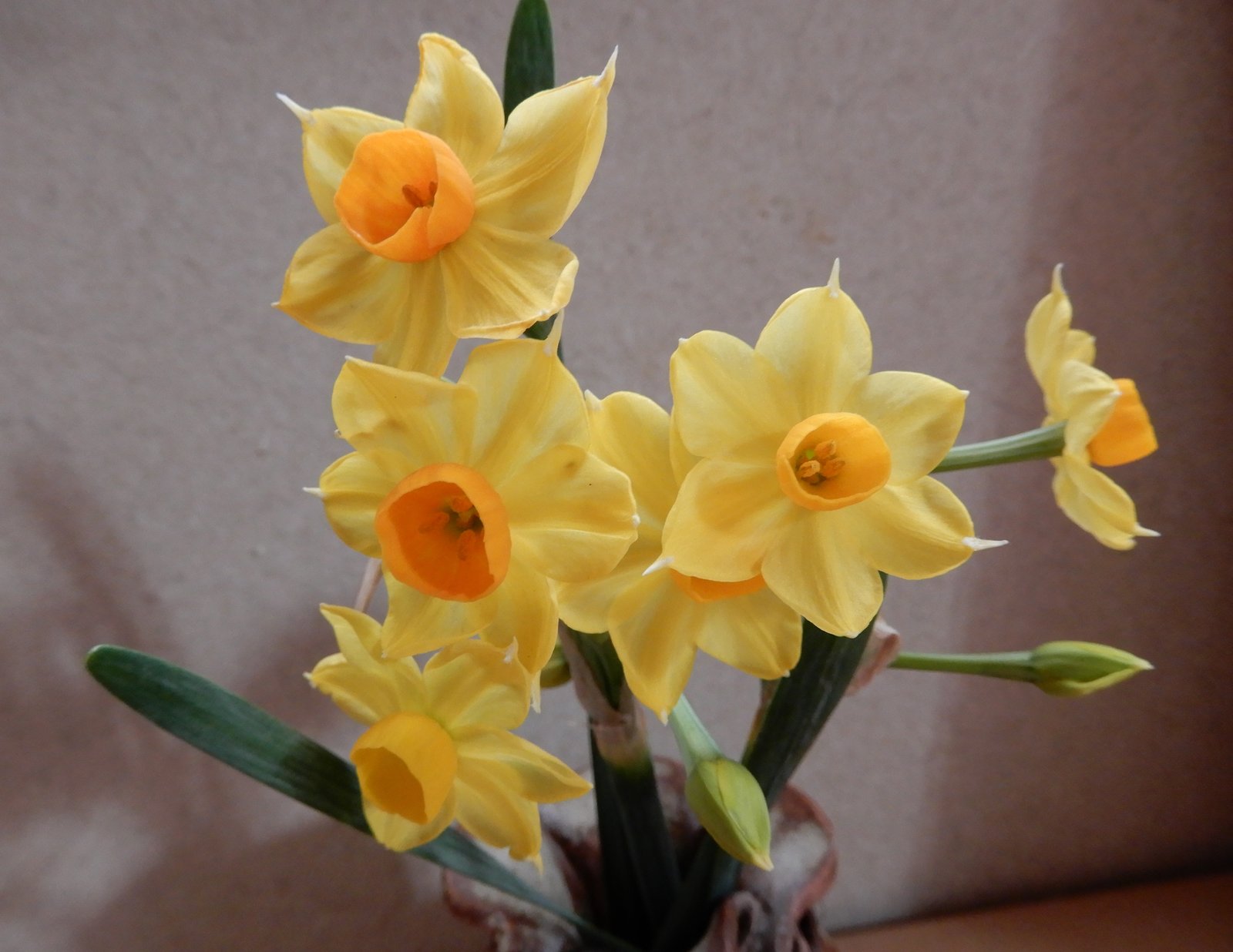 はじめての写真 綾野 花南 あやの はな Note はじめての写真 綾野 花南 あやの はな Note