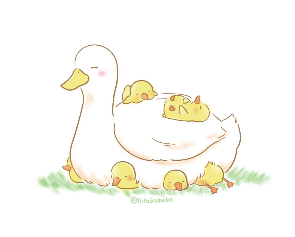 あひる親子のうたたね ひとだまこ Note