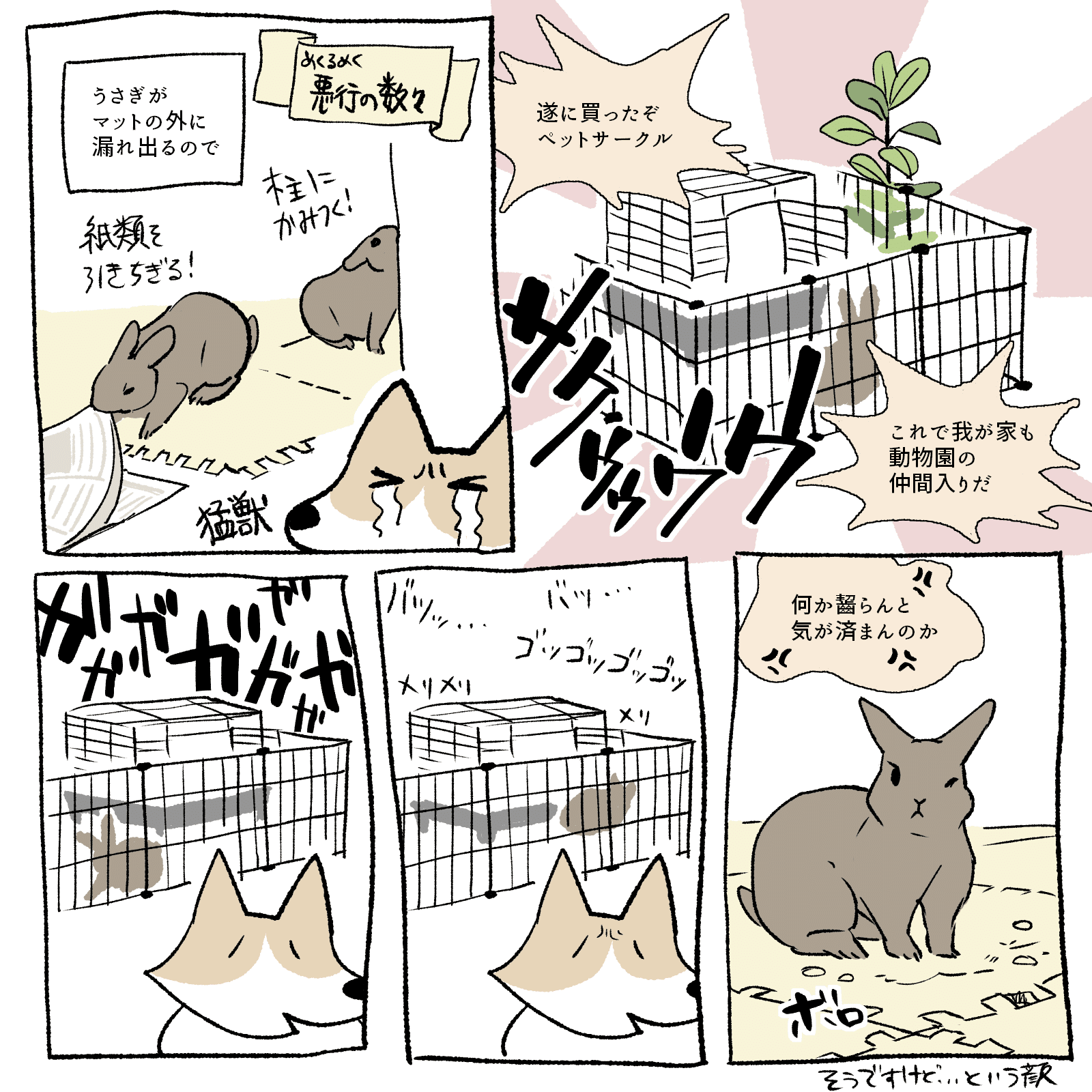 うさぎ週報 ペットサークルの回 Kuroji イラストレーター Note