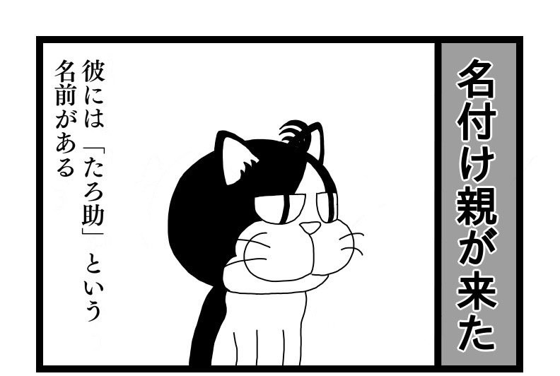 ミニマリスト 猫と暮らす 27 名付け親が来た みやもといくお Note ミニマリスト 猫と暮らす 27 名付け親が来た みやもといくお Note