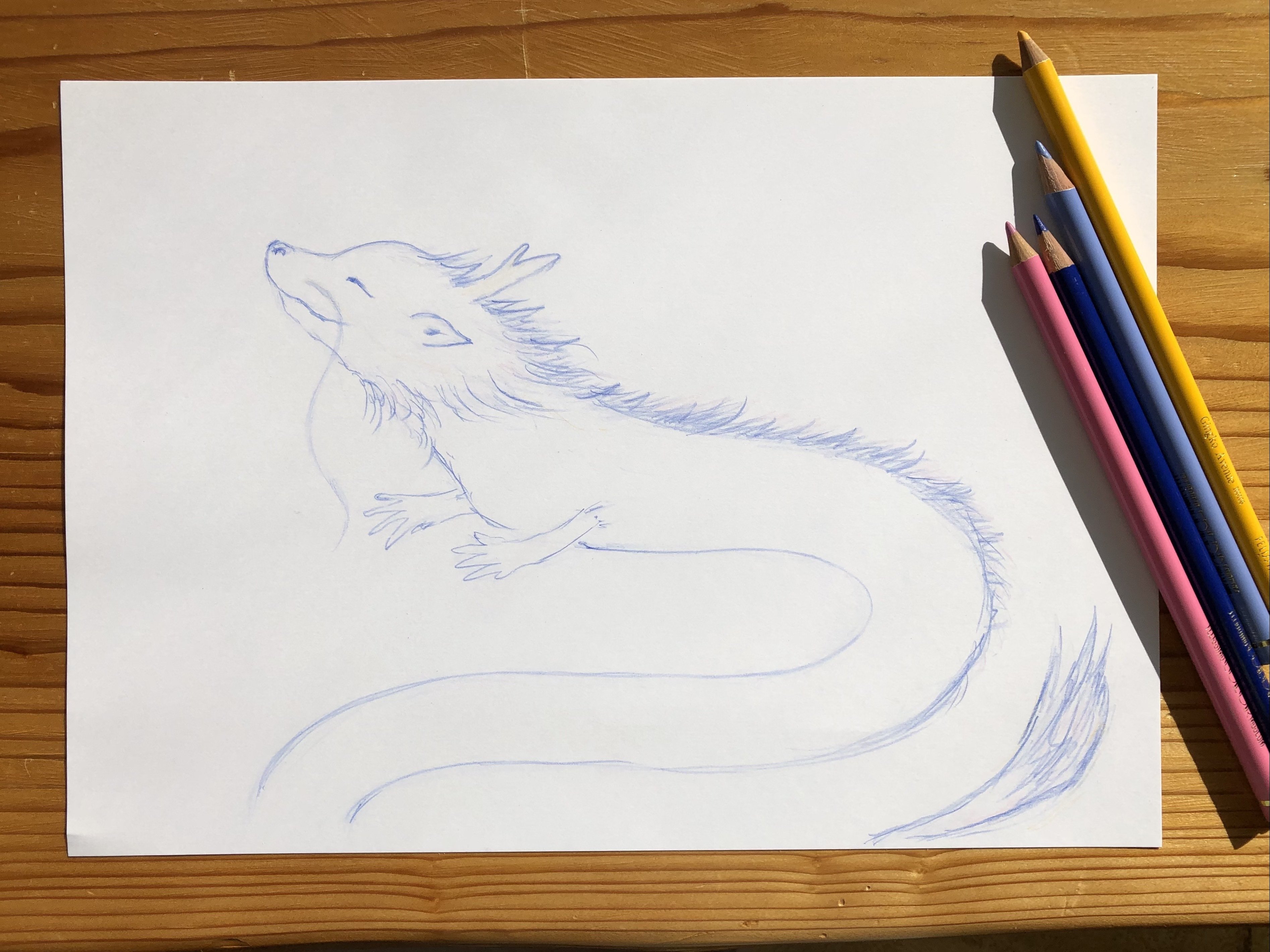 犬みたいな龍 うたびと 染矢敦子 Note