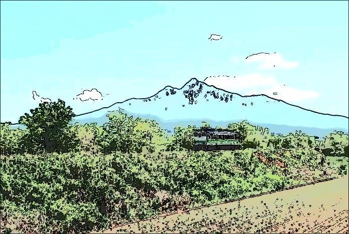 イラスト 椰子の実 Note イラスト 椰子の実 Note