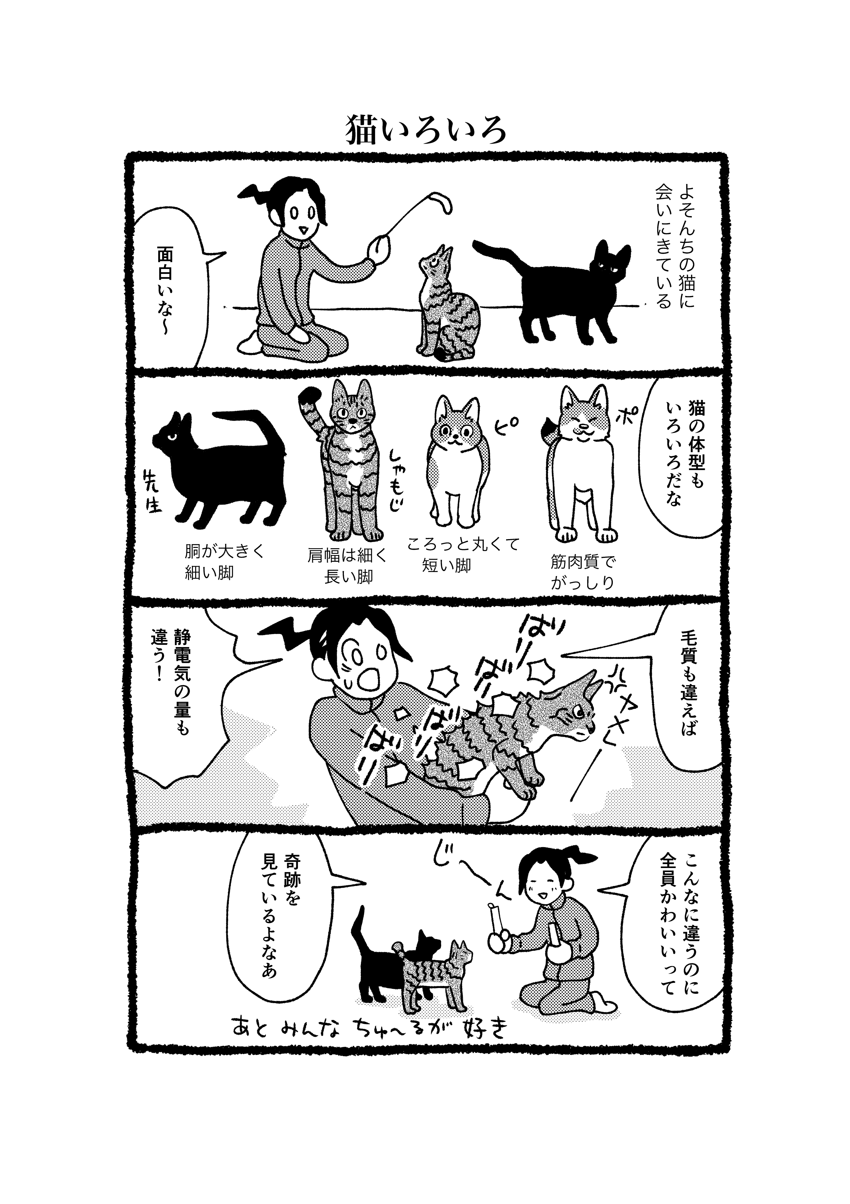猫いろいろ｜イシデ電｜note
