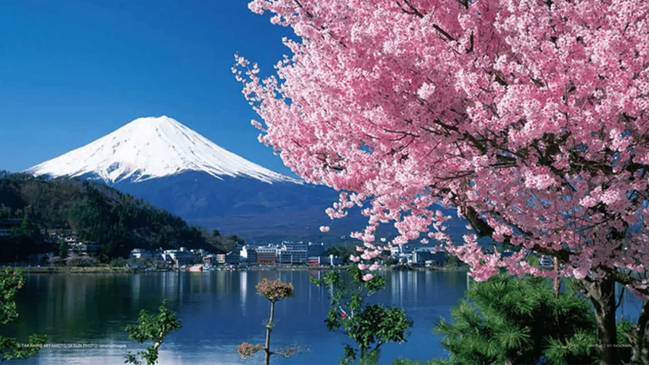 富士山と桜 風景 3月カレンダー Xxw515jpop Note