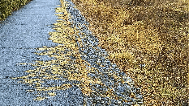 上 河原 土手 イラスト 河原 土手 イラスト