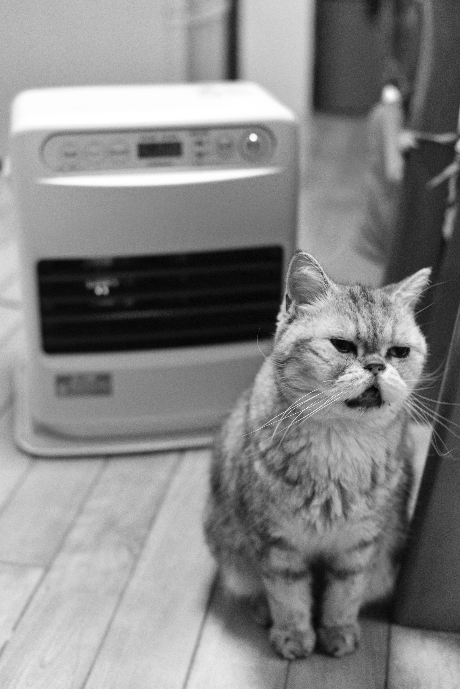 石油ファンヒーター」の新着タグ記事一覧｜note u2015u2015つくる、つながる 