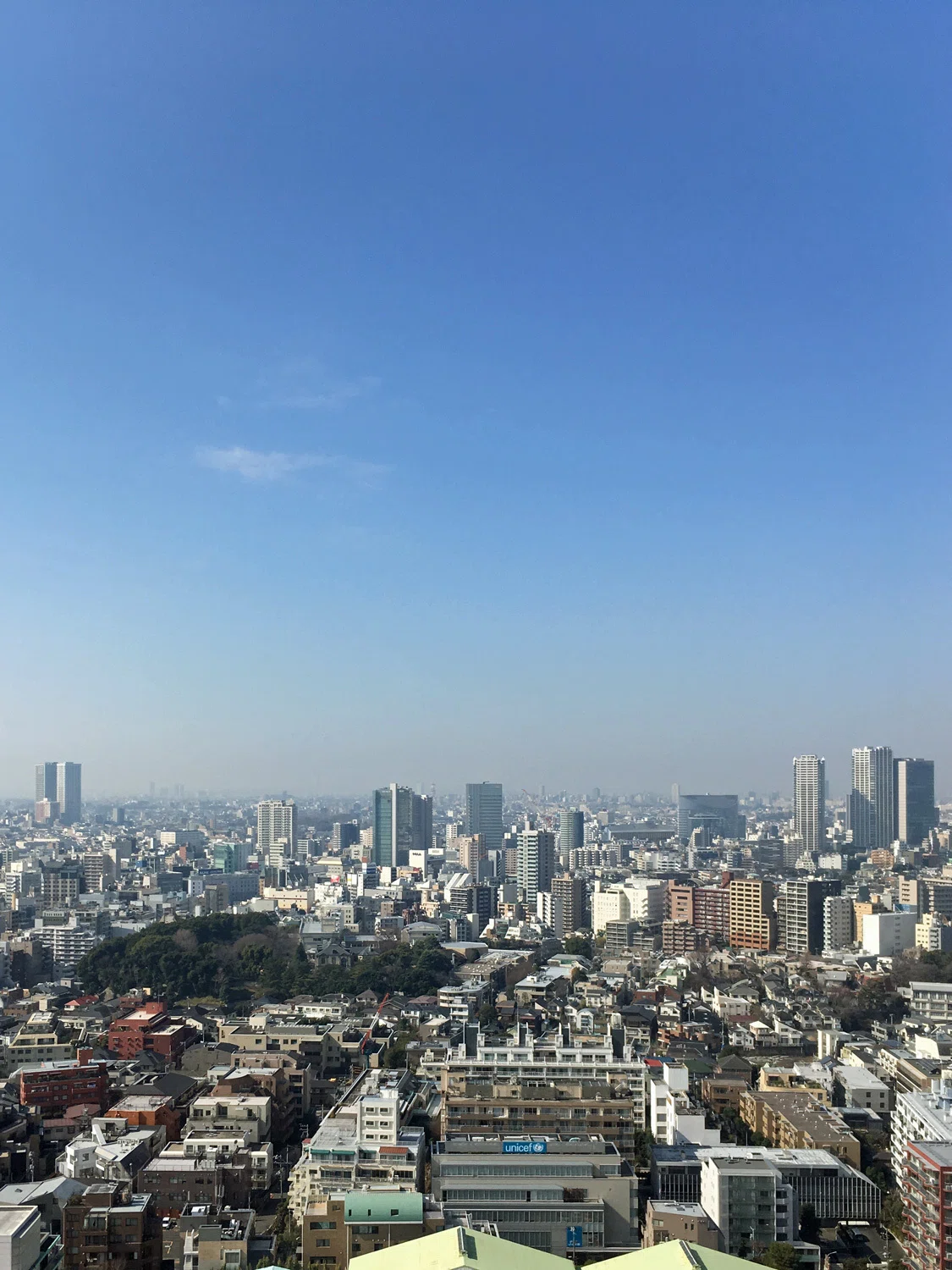 高層階から見渡す1日 花と日々 Yas Note
