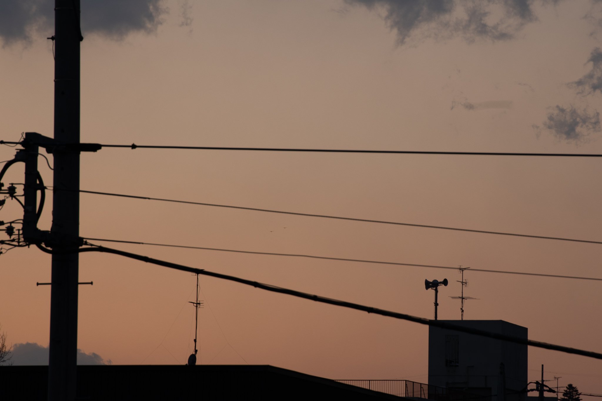 主に電線と線路と夕焼け ㇸぃゎ Note