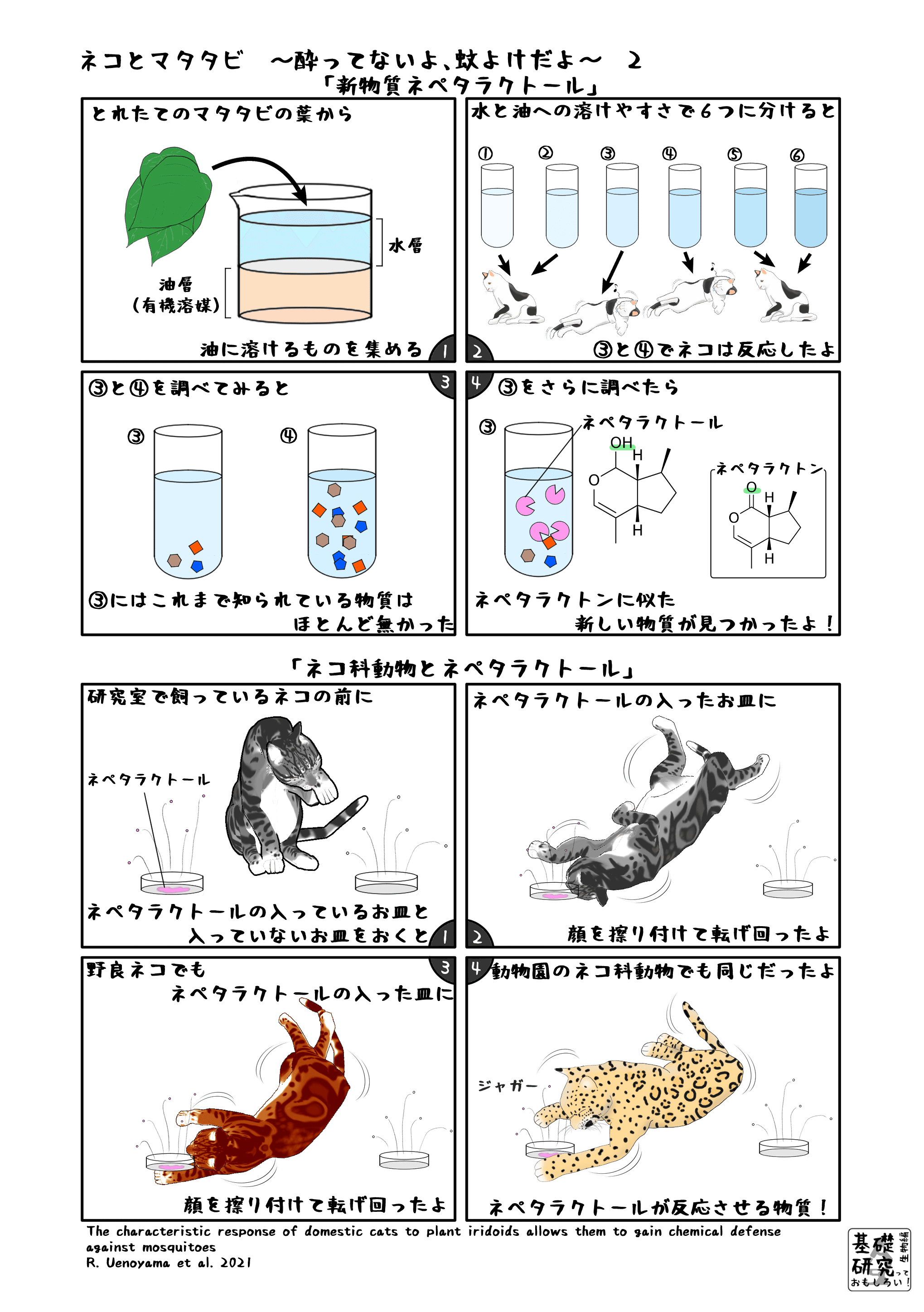 ネコとマタタビ 酔ってないよ 蚊よけだよ 2 かわいせーざん 基礎研究っておもしろい 生物編 Note ネコとマタタビ 酔ってないよ 蚊よけだよ 2 かわいせーざん 基礎研究っておもしろい 生物編 Note