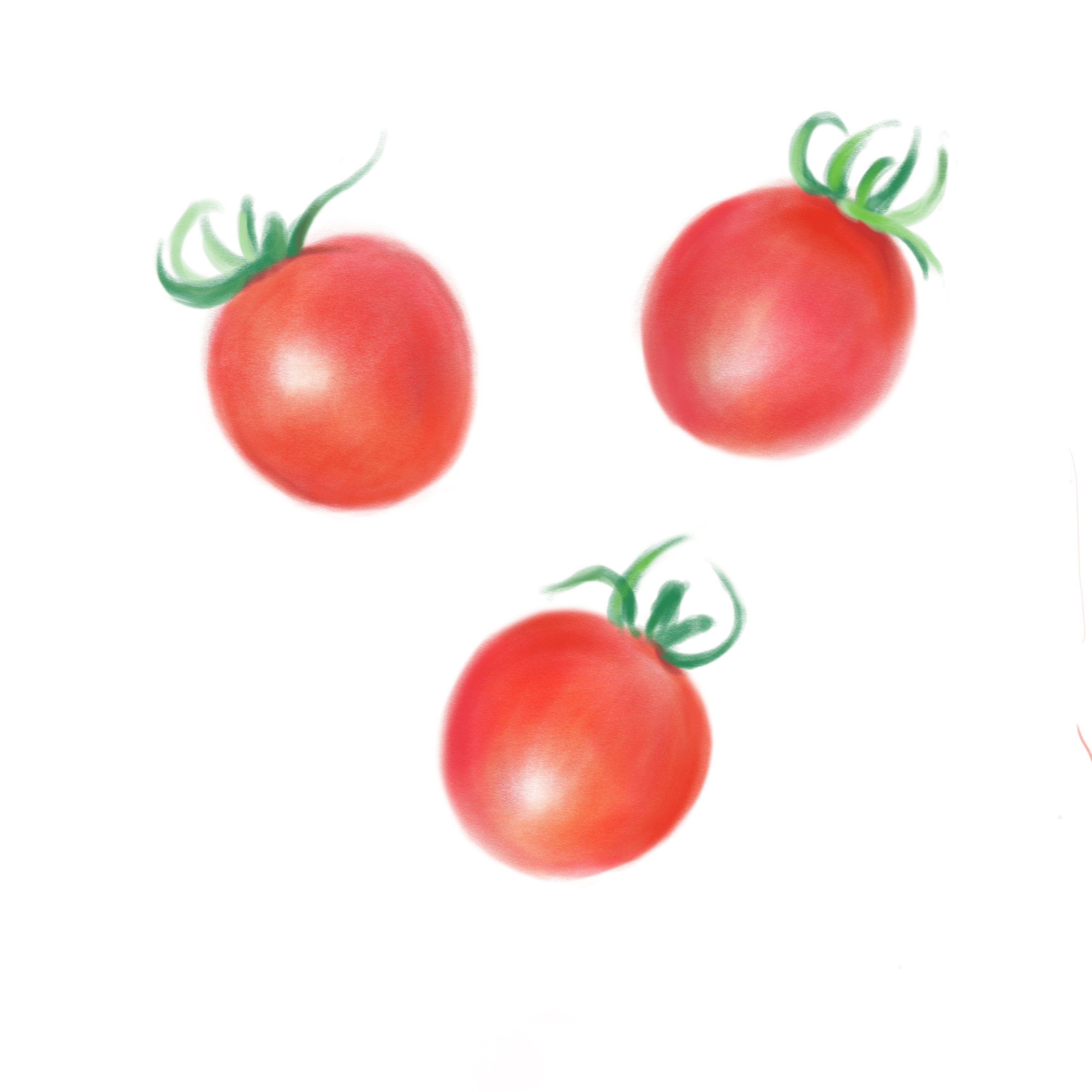 Autodesk Sketchbookの鉛筆でミニトマトを描く Rmia Note