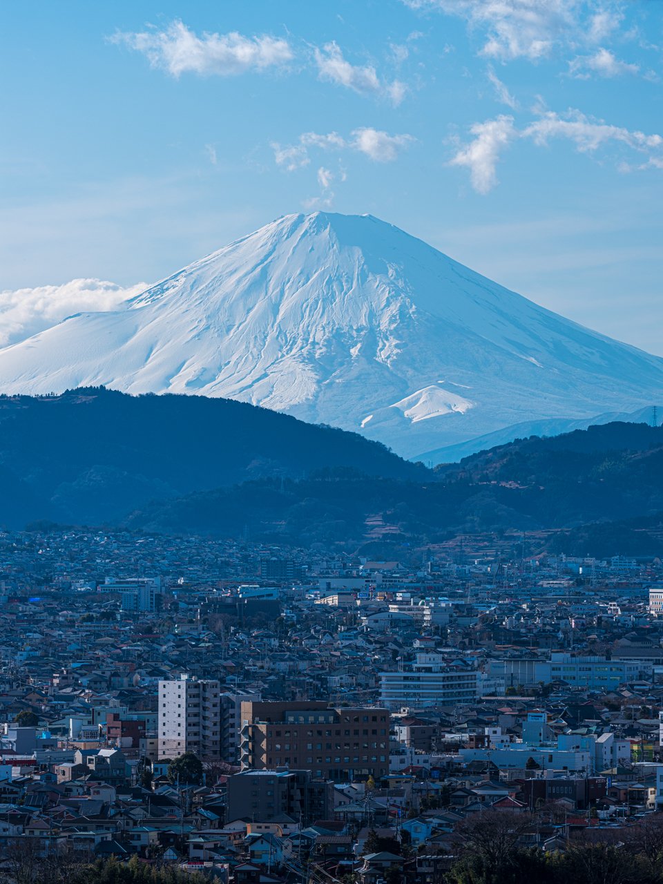 取り留めのないままにgfx50r散歩 テリー Note