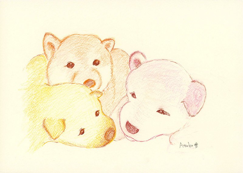 柴犬イラスト の新着タグ記事一覧 Note つくる つながる とどける