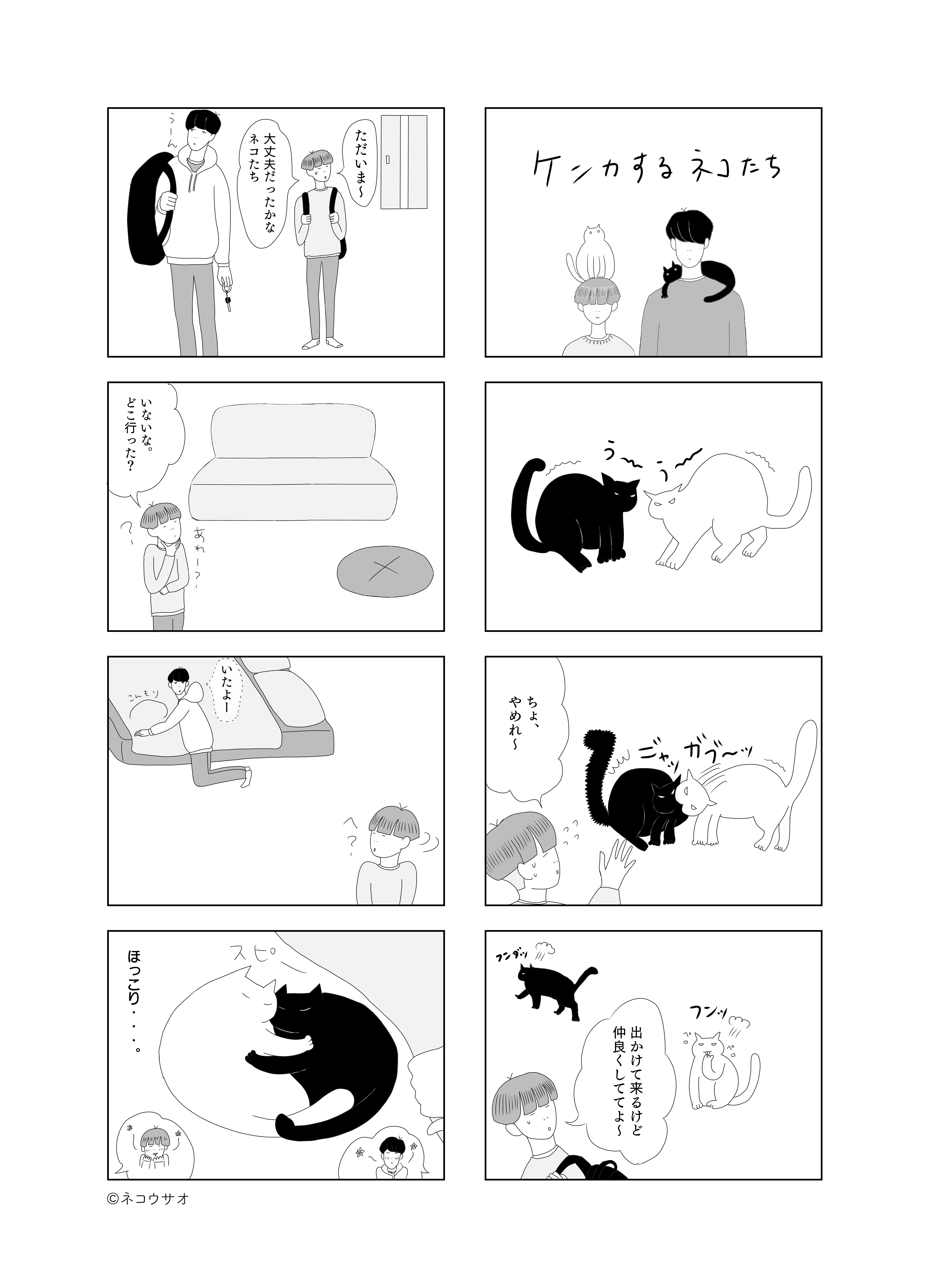 ケンカするネコたち」｜ネコウサオ｜note
