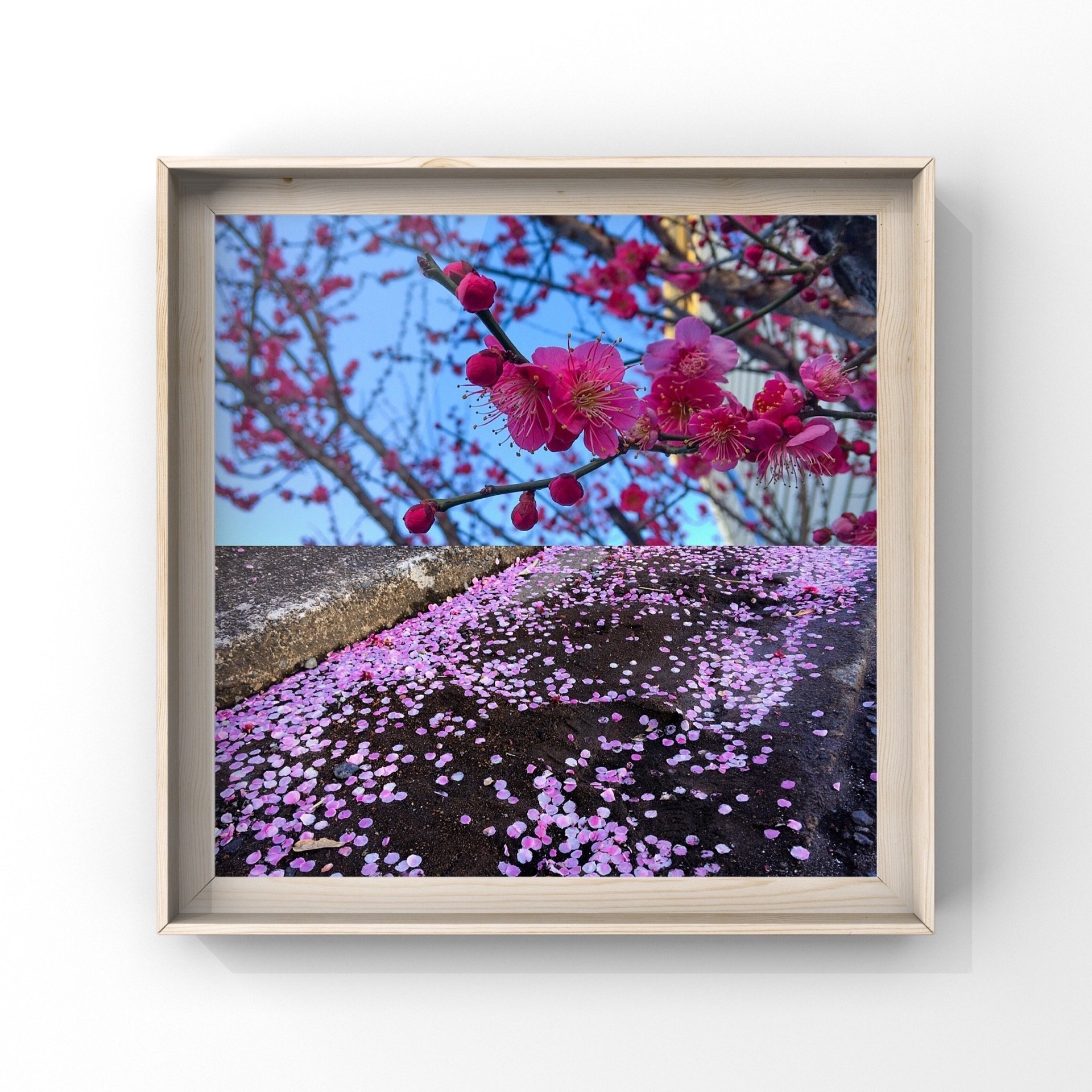 21 02 19 金 散る散る満ちる にきち けふの一句 Note