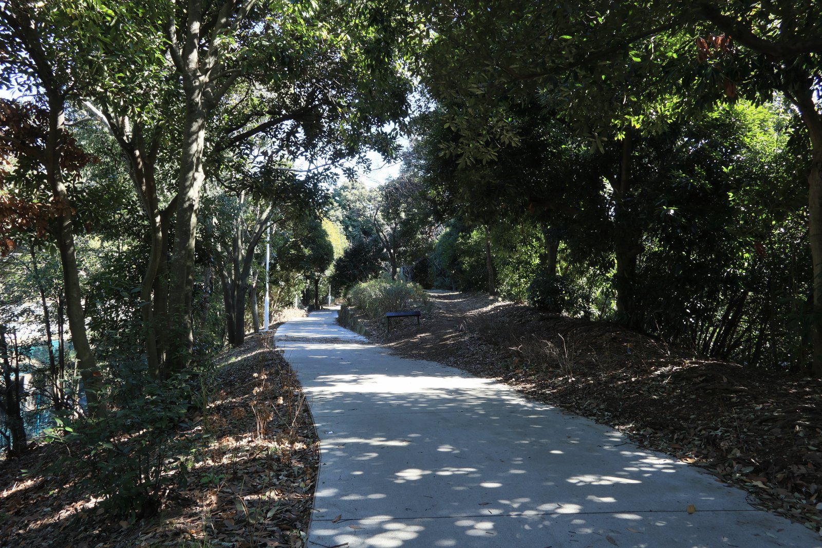 夢の島公園 わいえほ Note