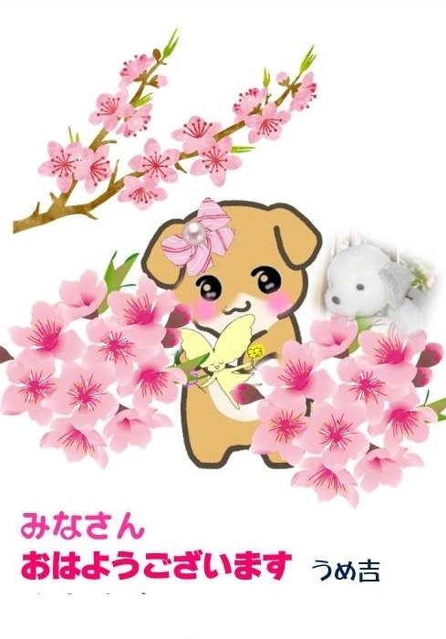 ココちゃんと花の精さん 大阪のうめ吉 Note ココちゃんと花の精さん 大阪のうめ吉 Note