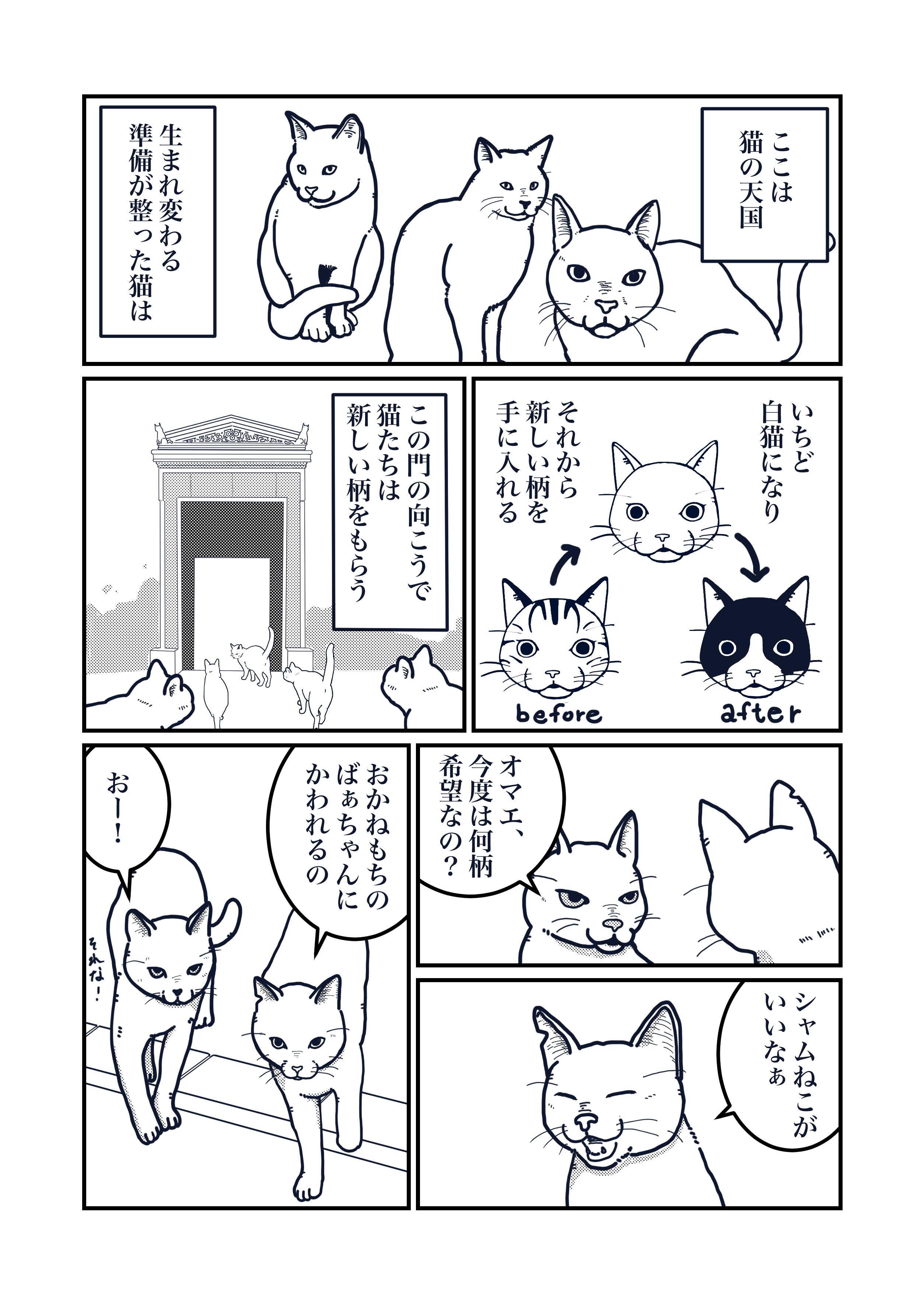 猫の柄の話し 白熊便利軒 Jose Note 猫の柄の話し 白熊便利軒 Jose Note