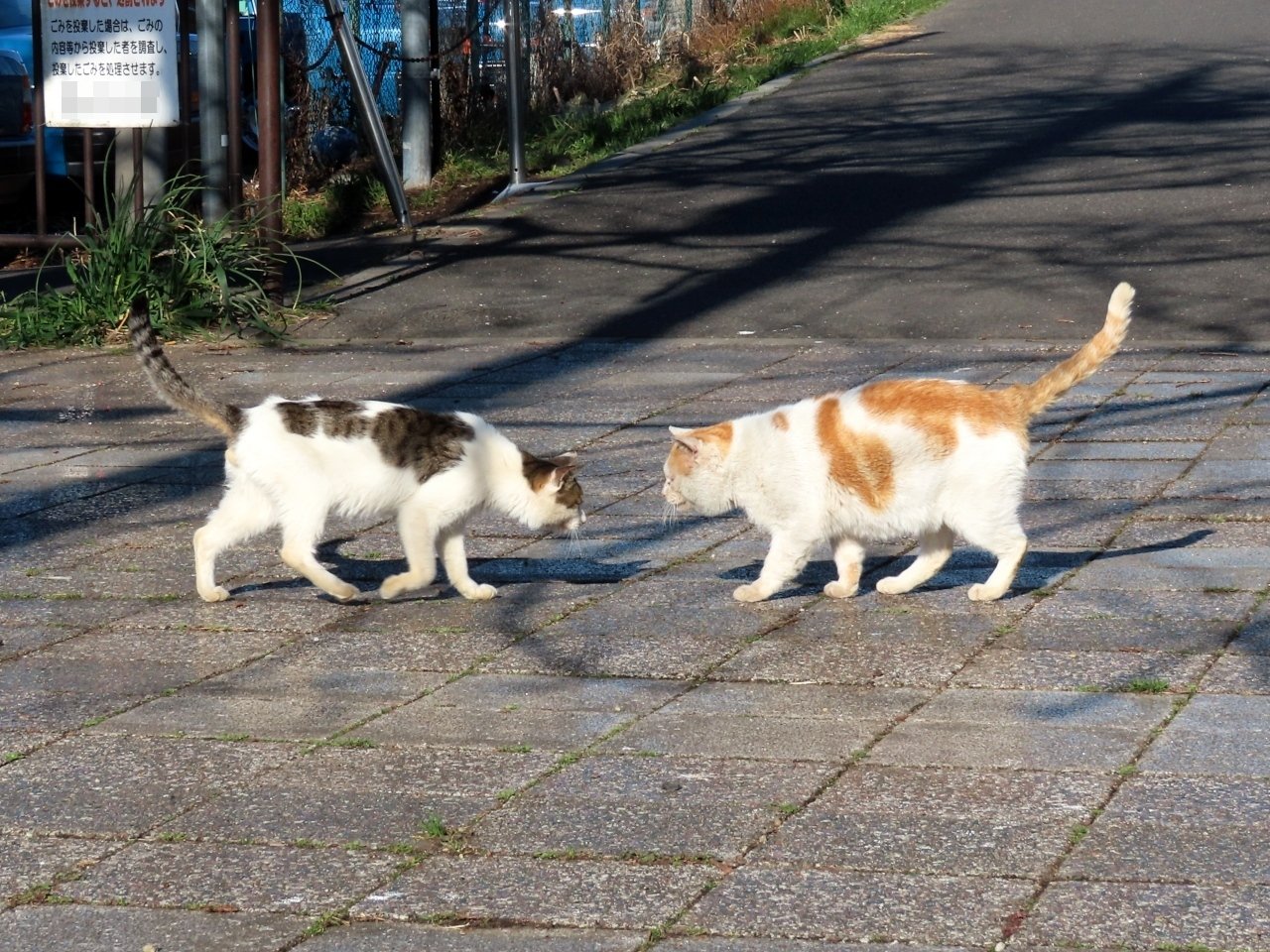 一触即発 やぐるま Note