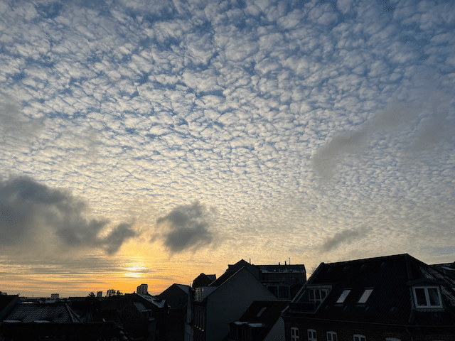 どうやら、デンマークの暗くて寒い冬にも終わりの兆しが見えてきたみたいです! 厚い雲に覆われどんよりしていた空に、ちらほらと隙間ができて太陽が顔を覗かせるようになりました!!おかげで夕焼けを眺められる日がちょっと増えています(日中はやっぱりどんよりした日が多いですが・・・😅) 画像1