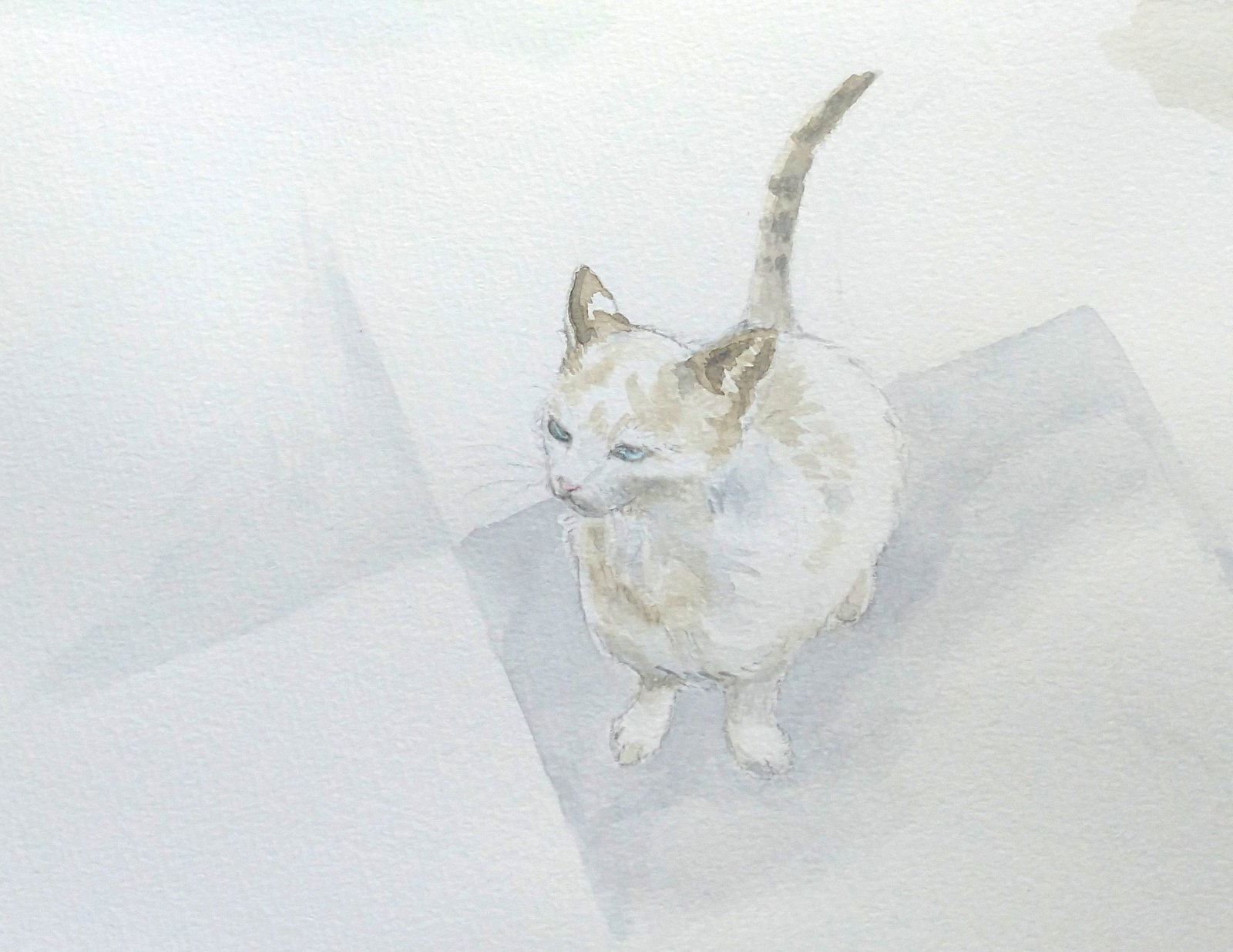猫の日 昨日 すぐの Note