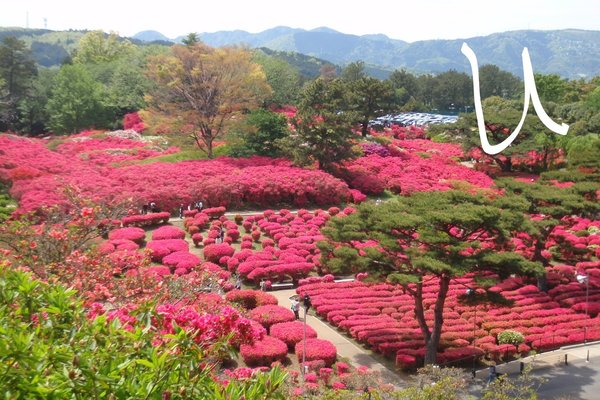 小室山公園つつじ祭り の新着タグ記事一覧 Note つくる つながる とどける 小室山公園つつじ祭り の新着タグ記事一覧 Note つくる つながる とどける