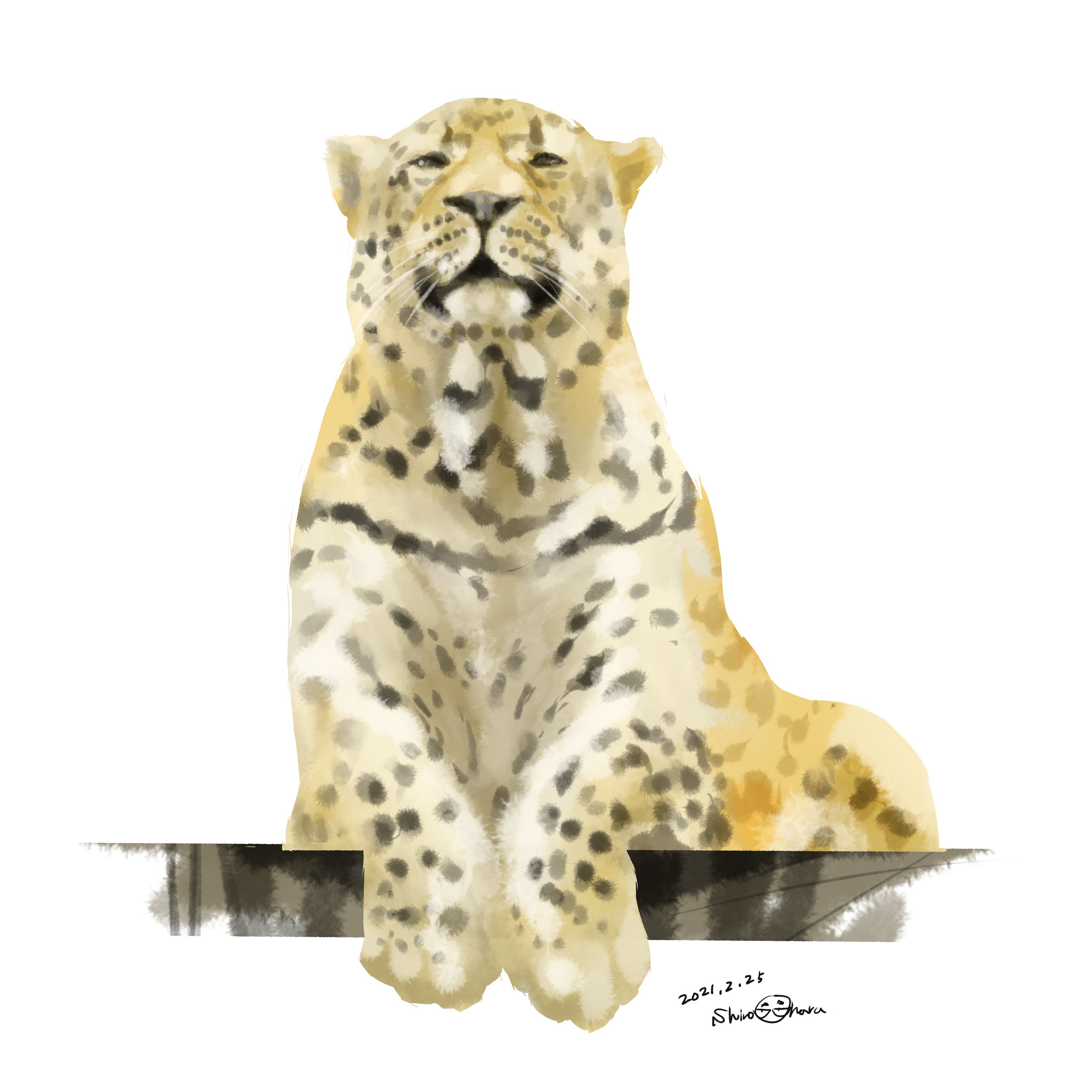 Animals 動物たちのイラスト 大原 司朗 Note Animals 動物たちのイラスト 大原 司朗 Note
